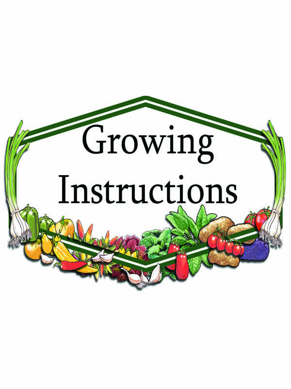 Growing Instructions 600×800