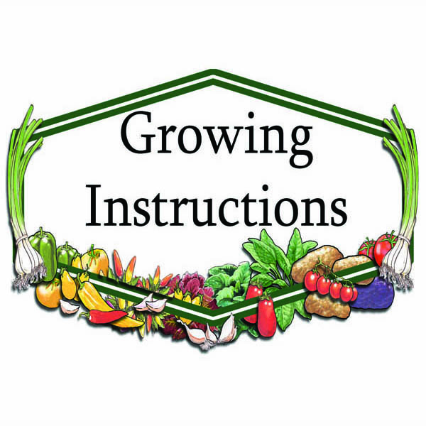 Growing Instructions for Home Gardeners