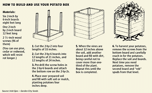 Potato Box Building Instructions