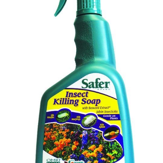 Safe Pest Control