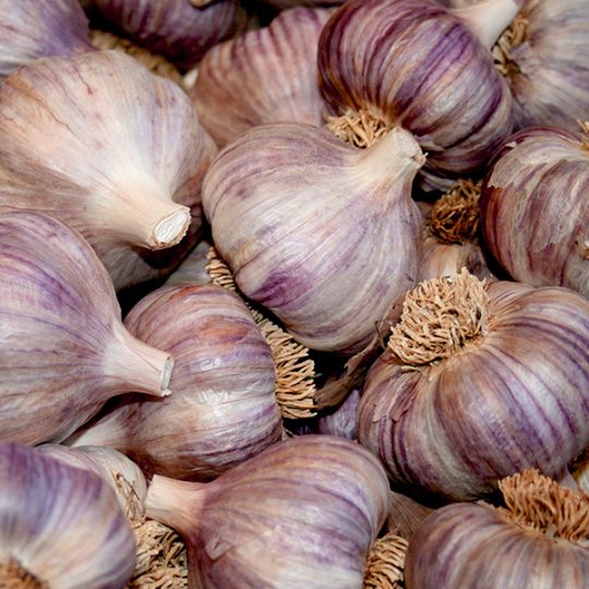 Garlic Accessories