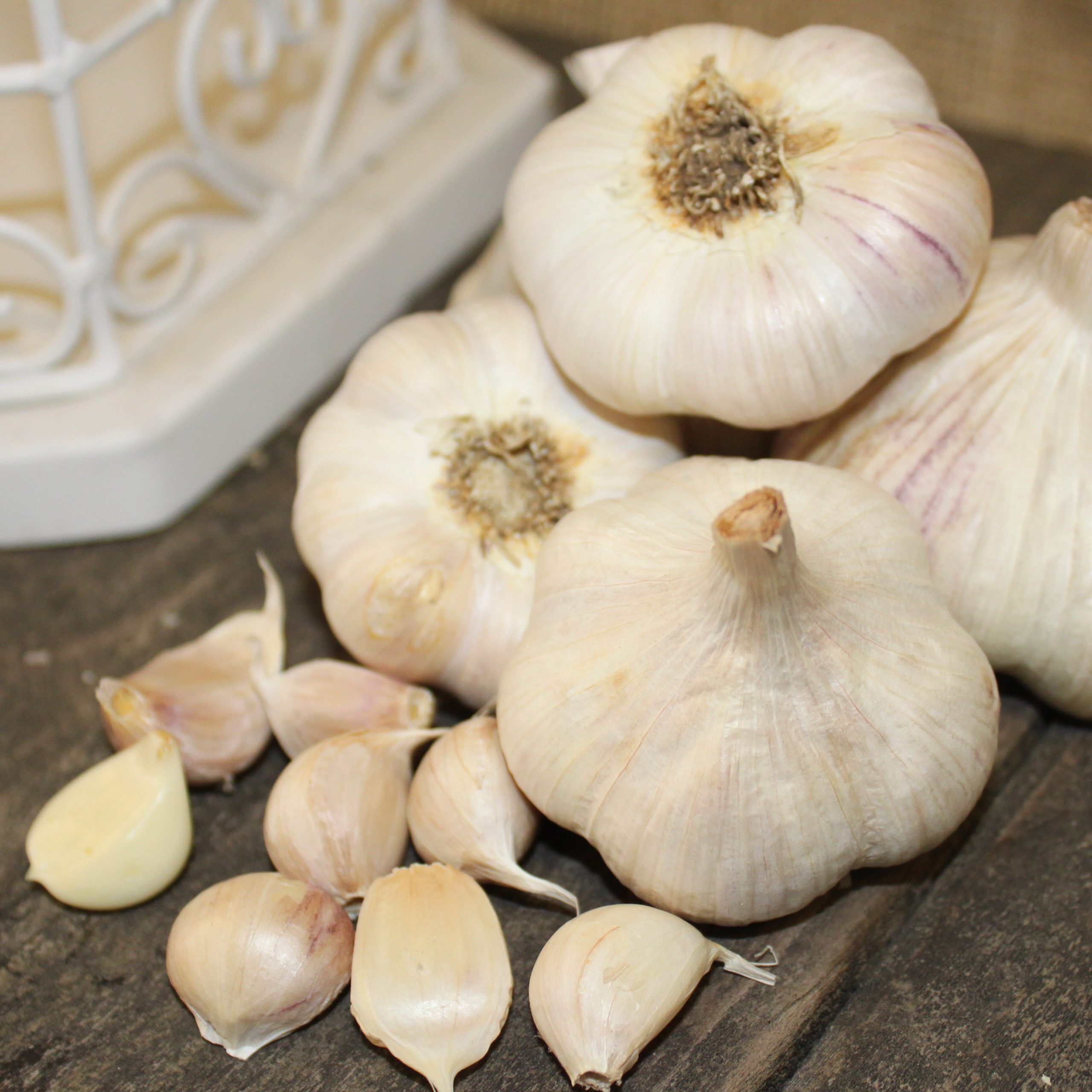 OG German Porcelain Garlic