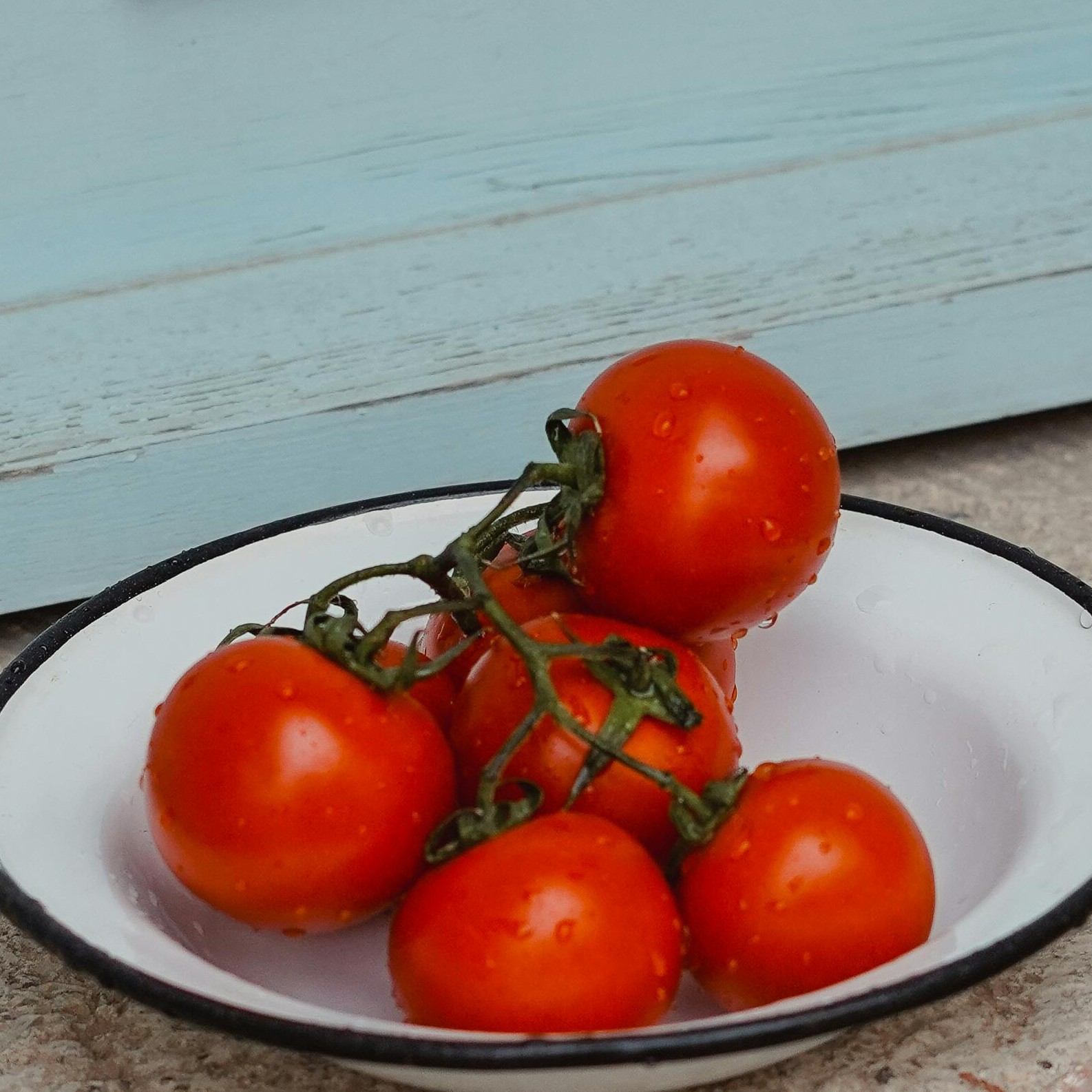 OG Polar Beauty Tomato