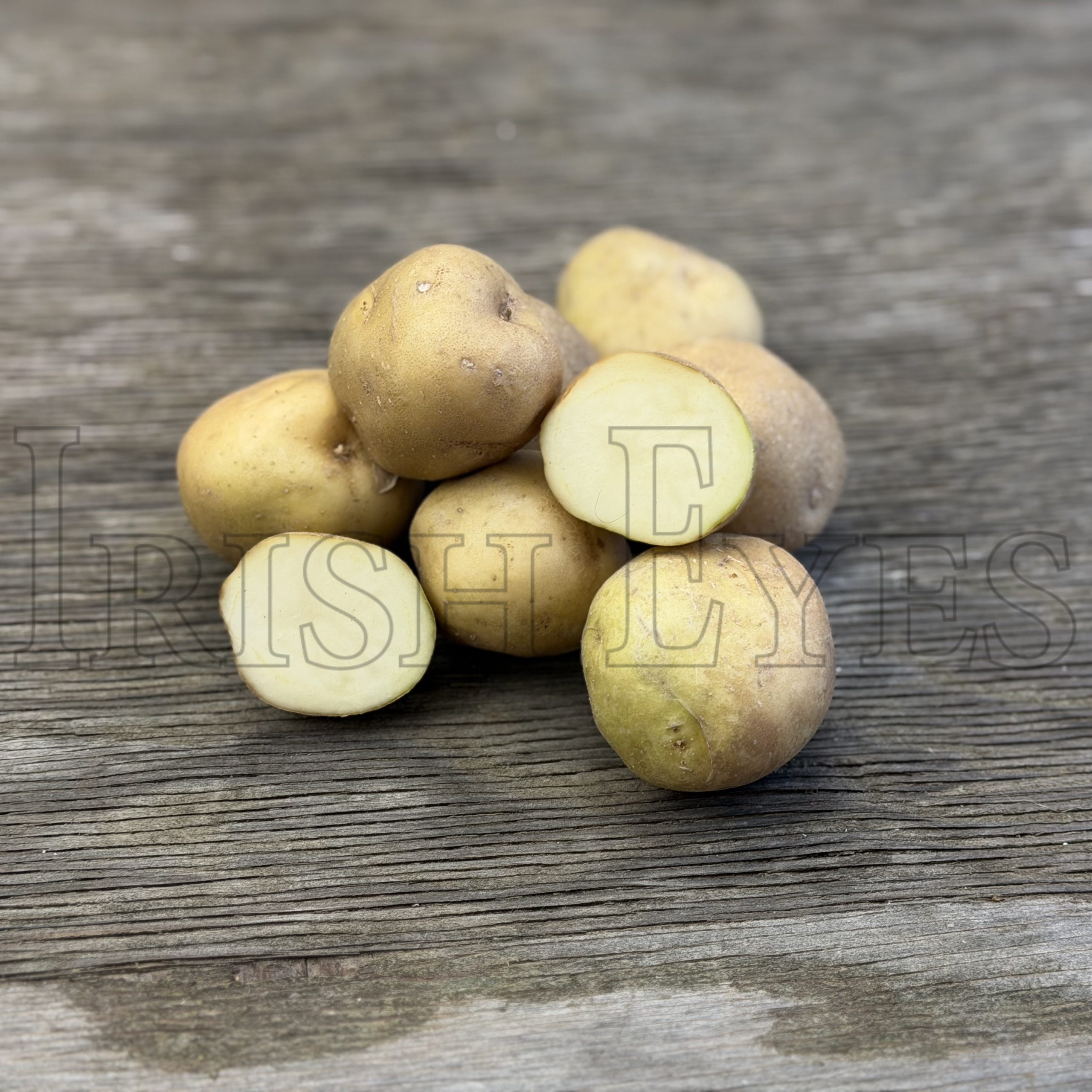 OG Irish Cobbler Potato