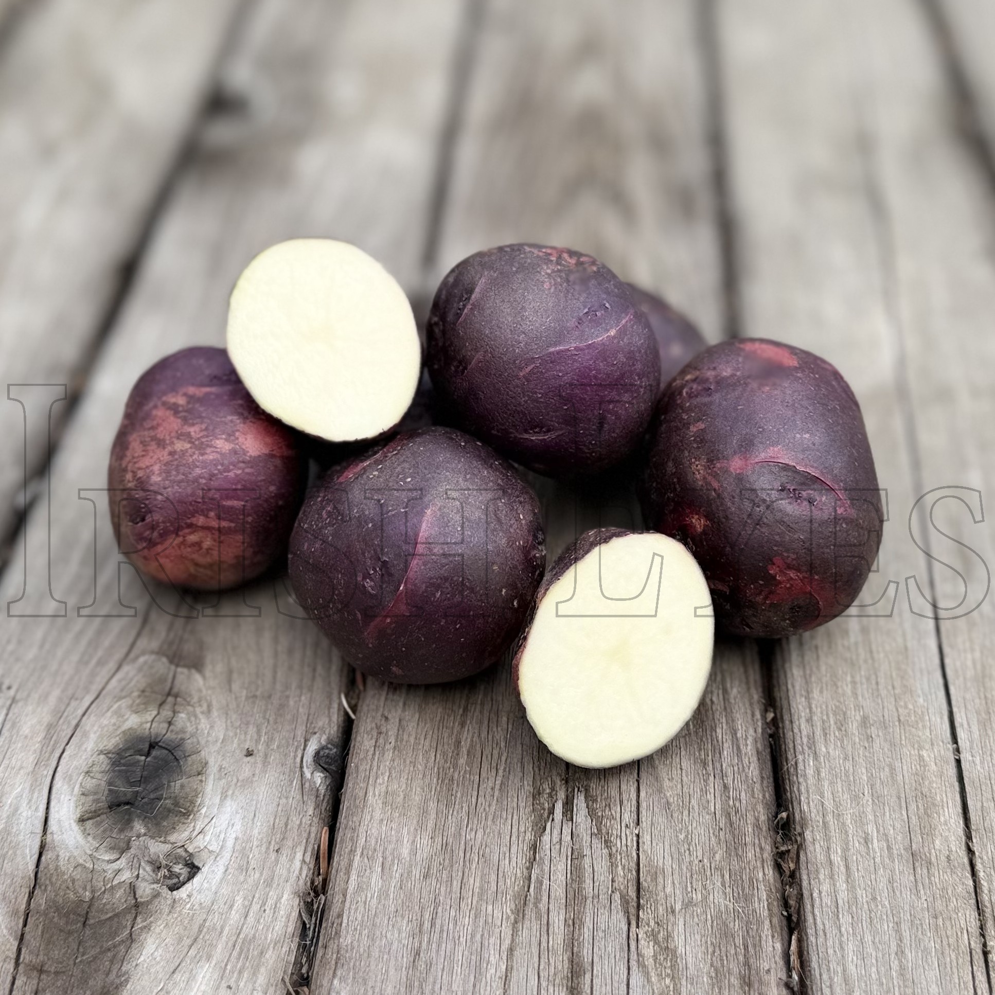 OG Viking Purple Potato