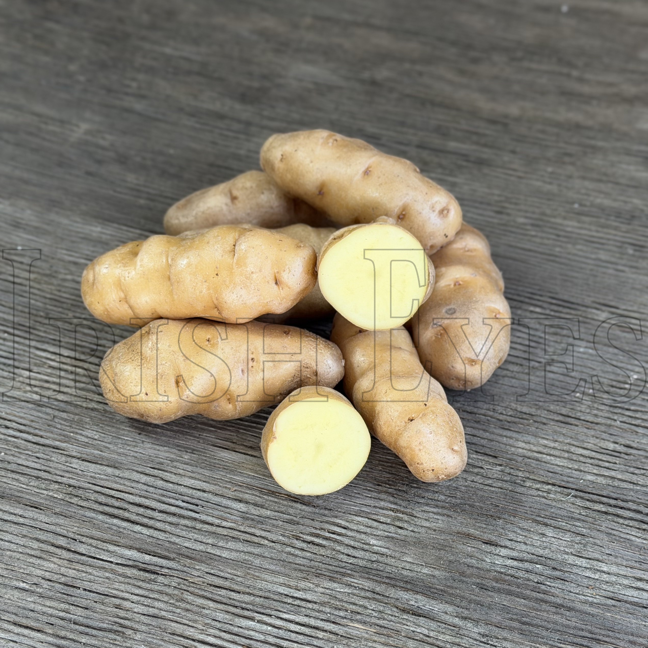 OG Makah Ozette Fingerling