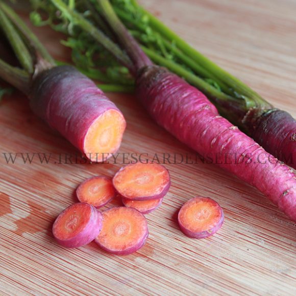 Cosmic Purple Carrot Irish Eyes