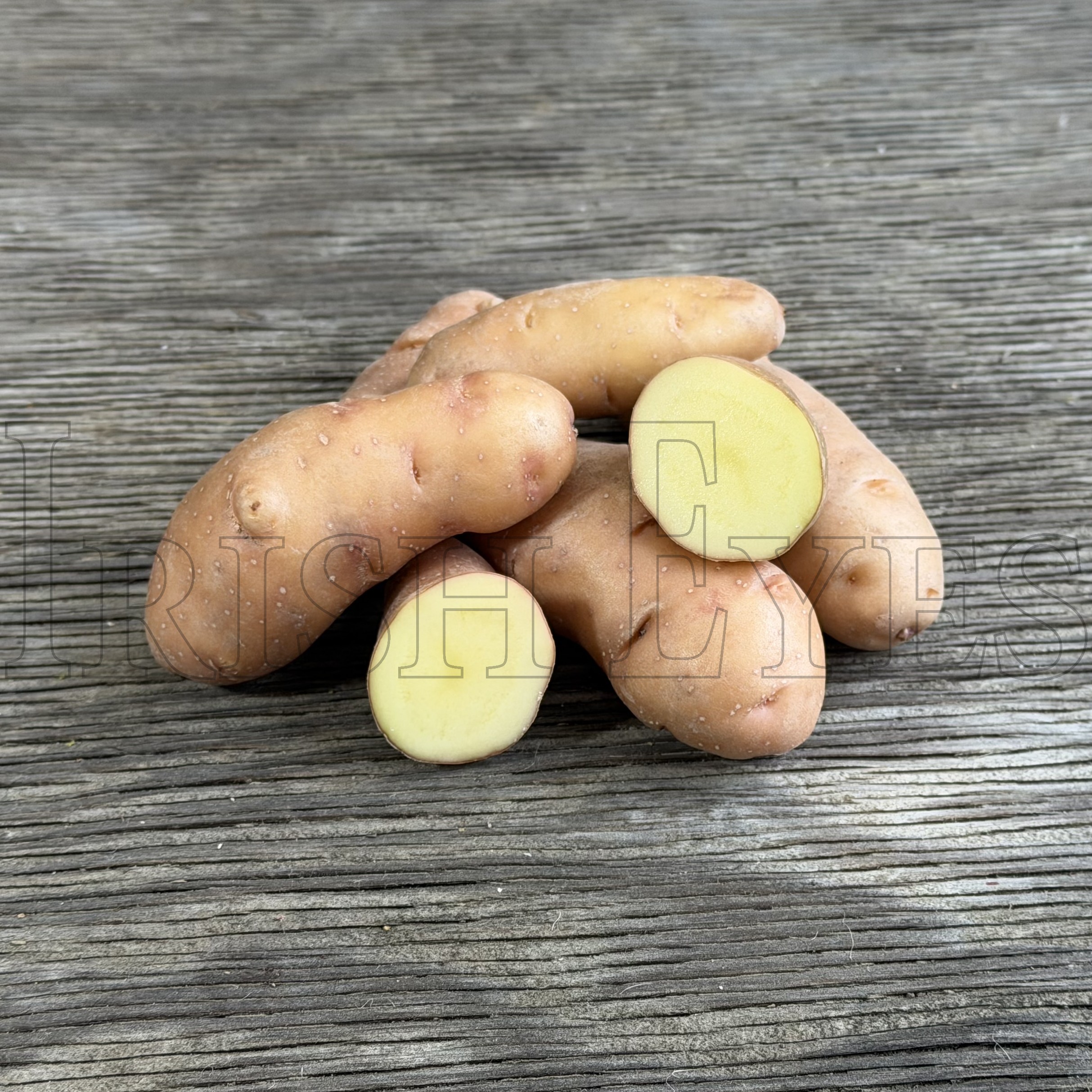 OG Rose Finn Apple Fingerling