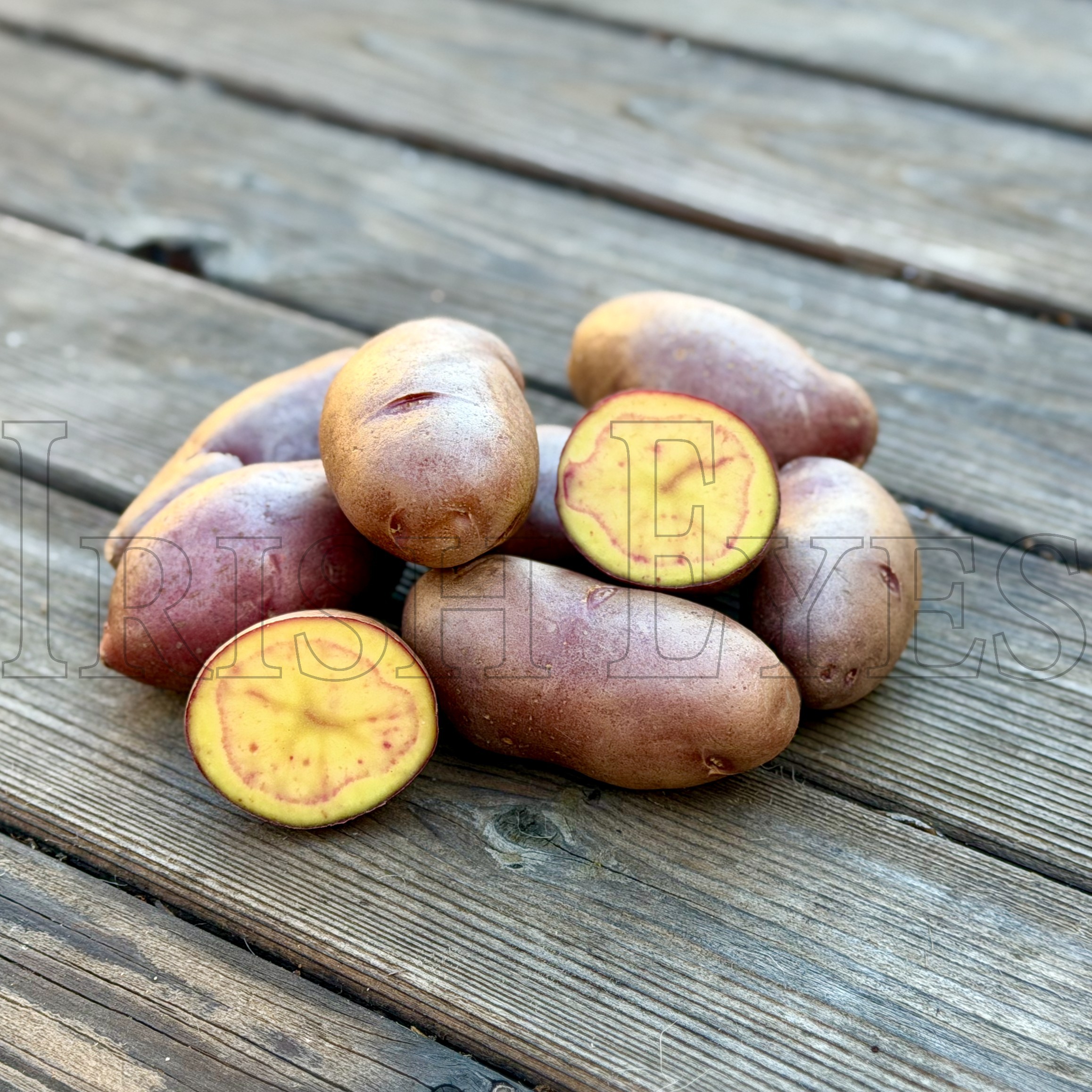 OG French Fingerling