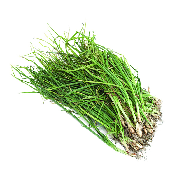 OG Walla Walla Transplant