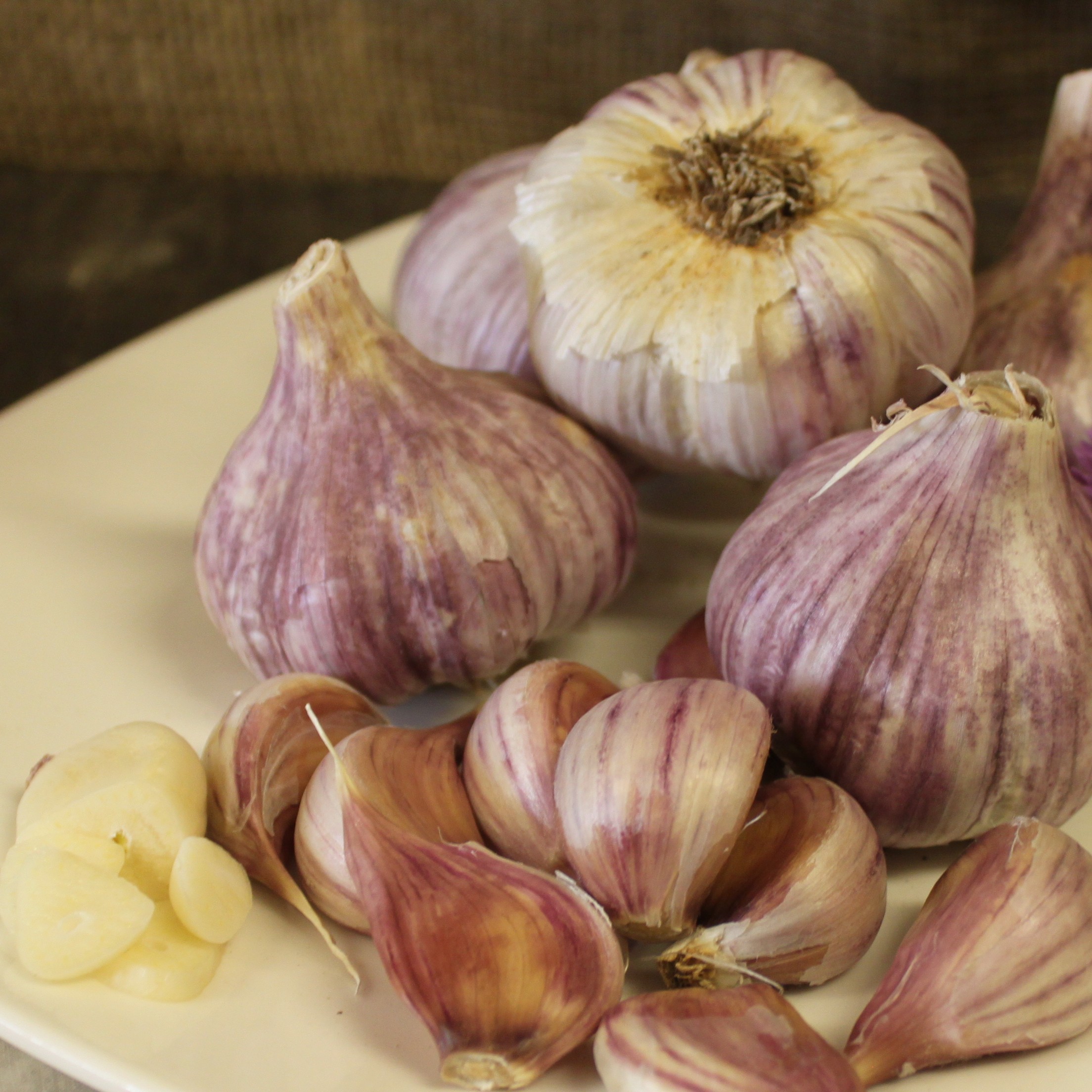 OG Chesnok Red Garlic