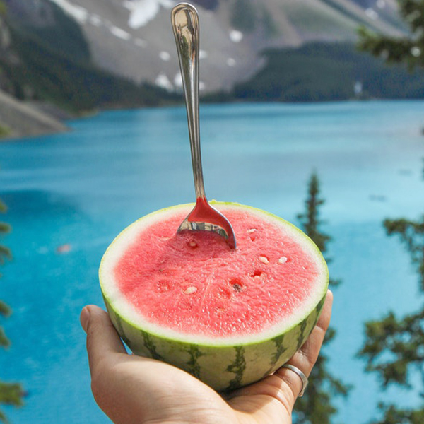 OG Sugar Baby Watermelon