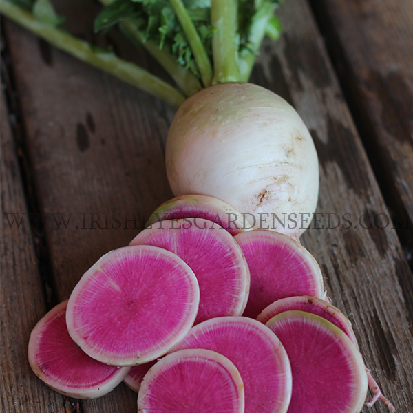 Watermelon Radish