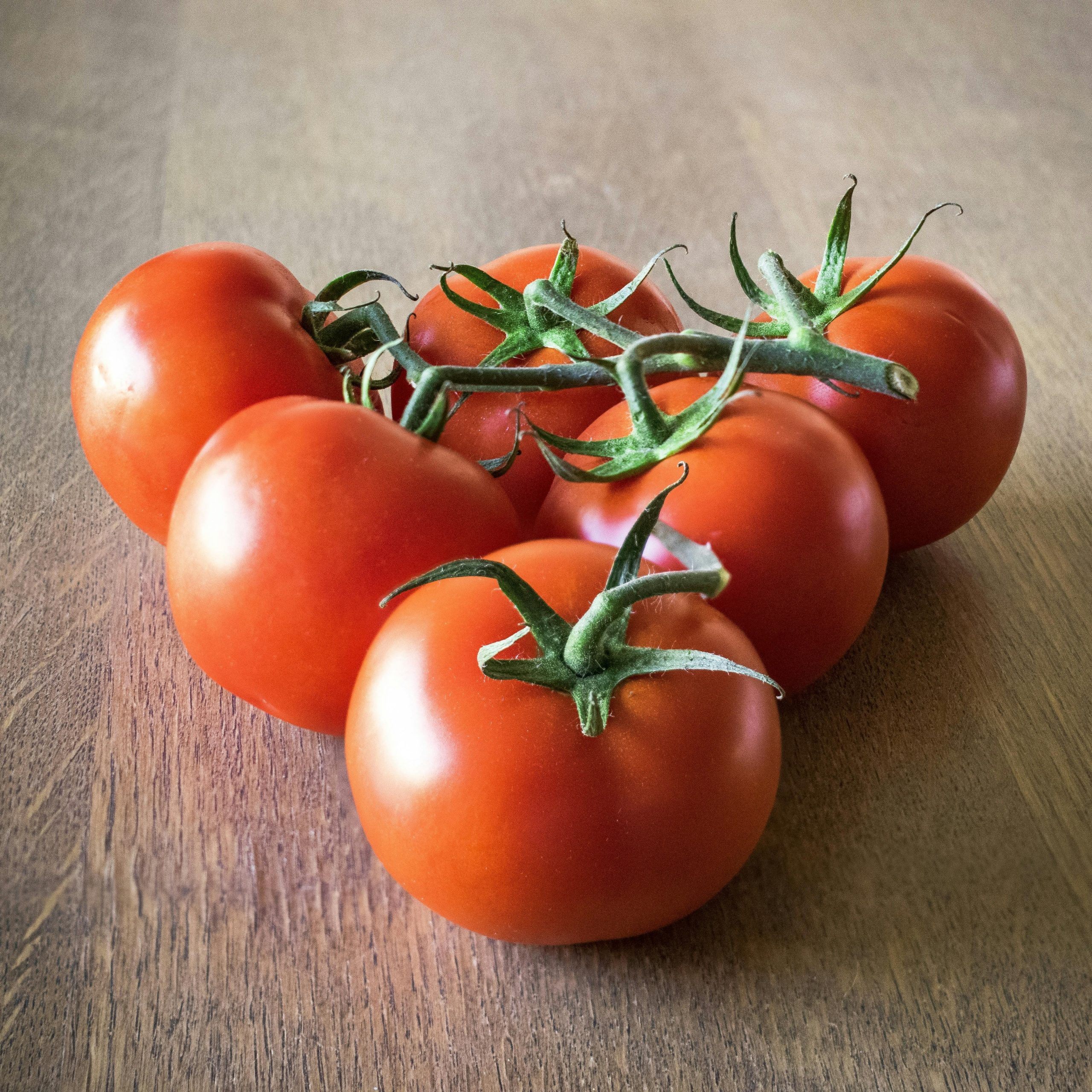 Polar Star Tomato