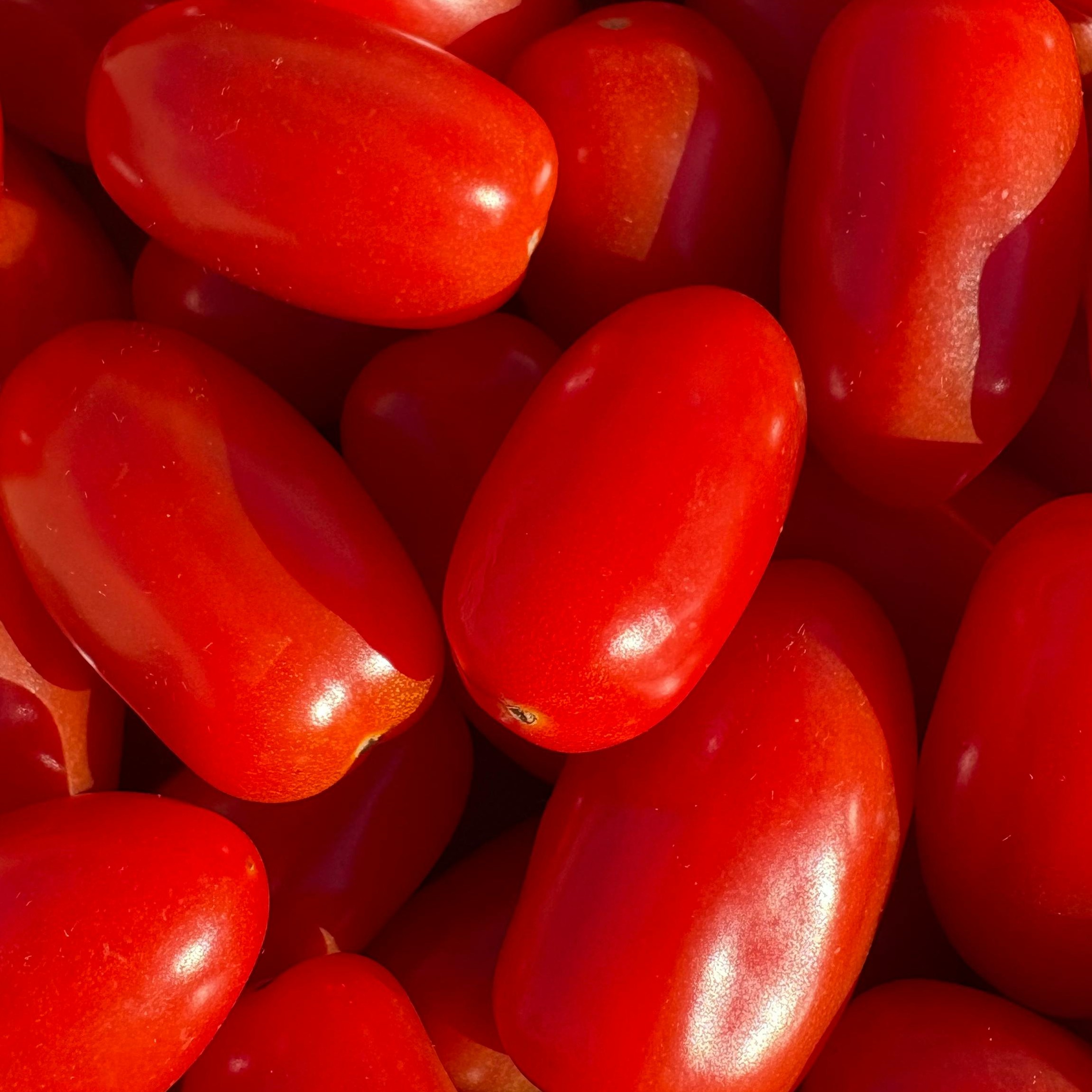 OG Sausage Paste Tomato