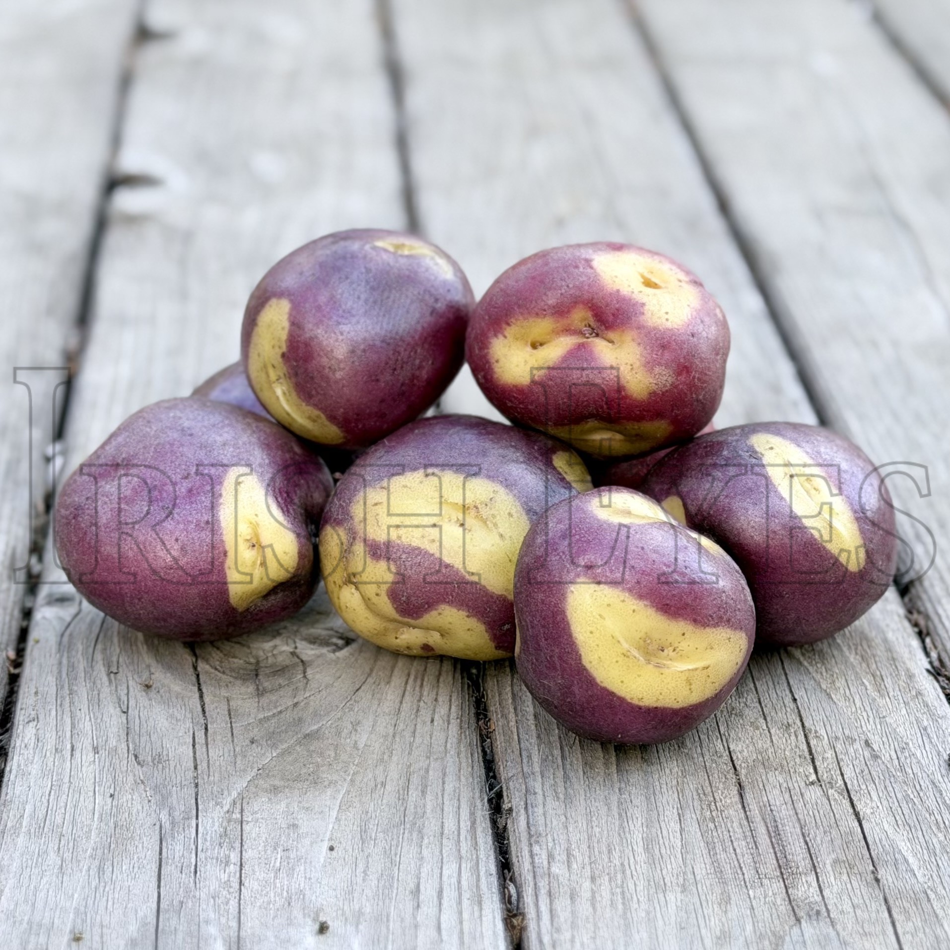 OG Jester Pre-Nuclear Potato