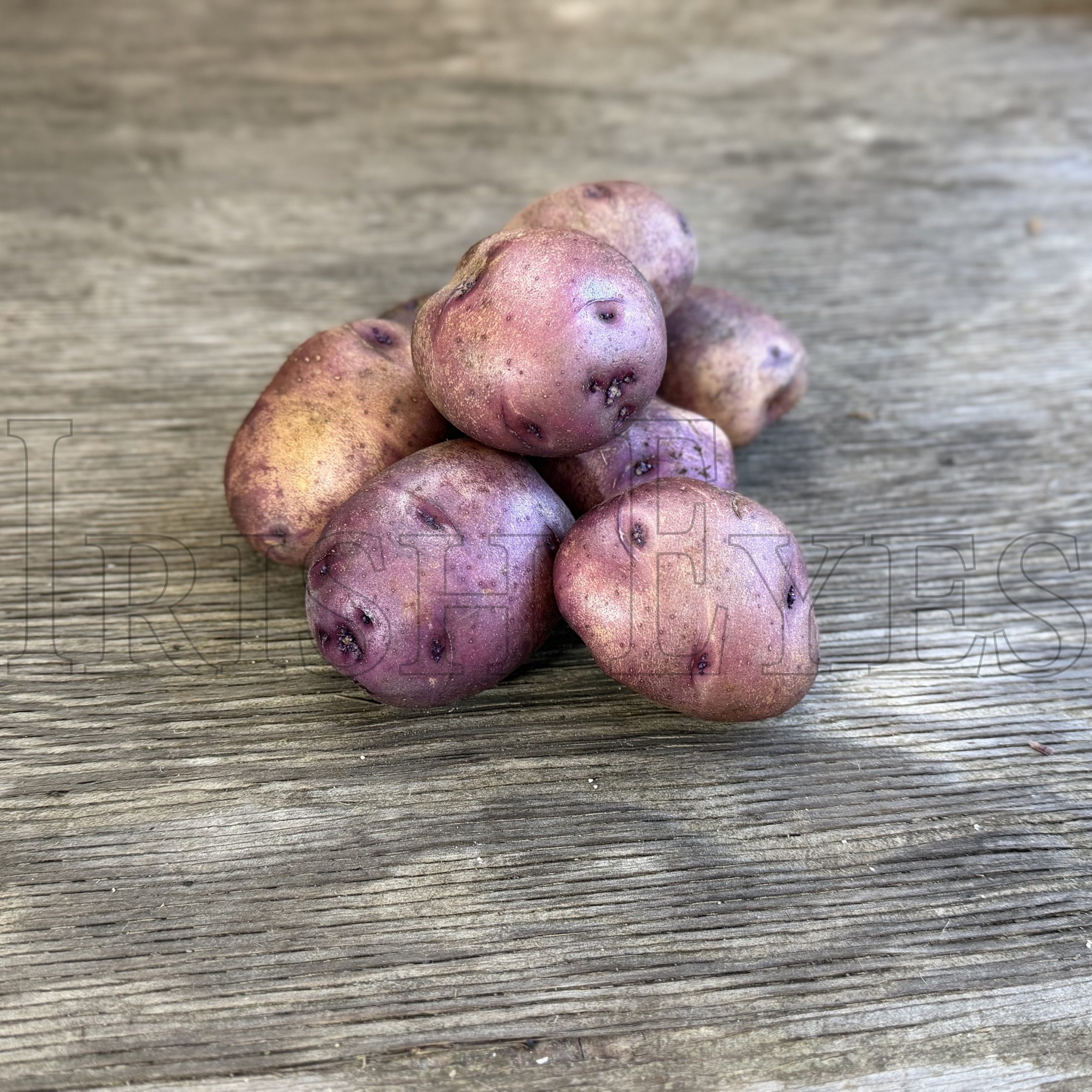 OG Caribe Pre-Nuclear Potato