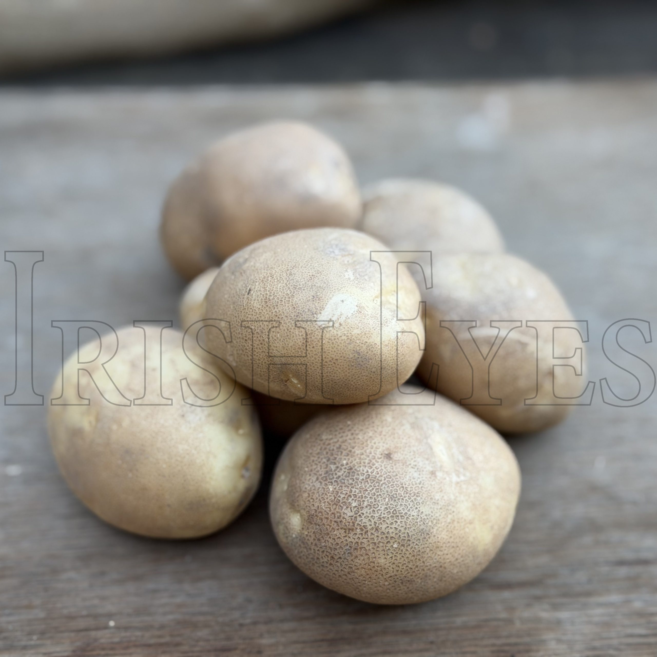 OG Butte Pre-Nuclear Potato