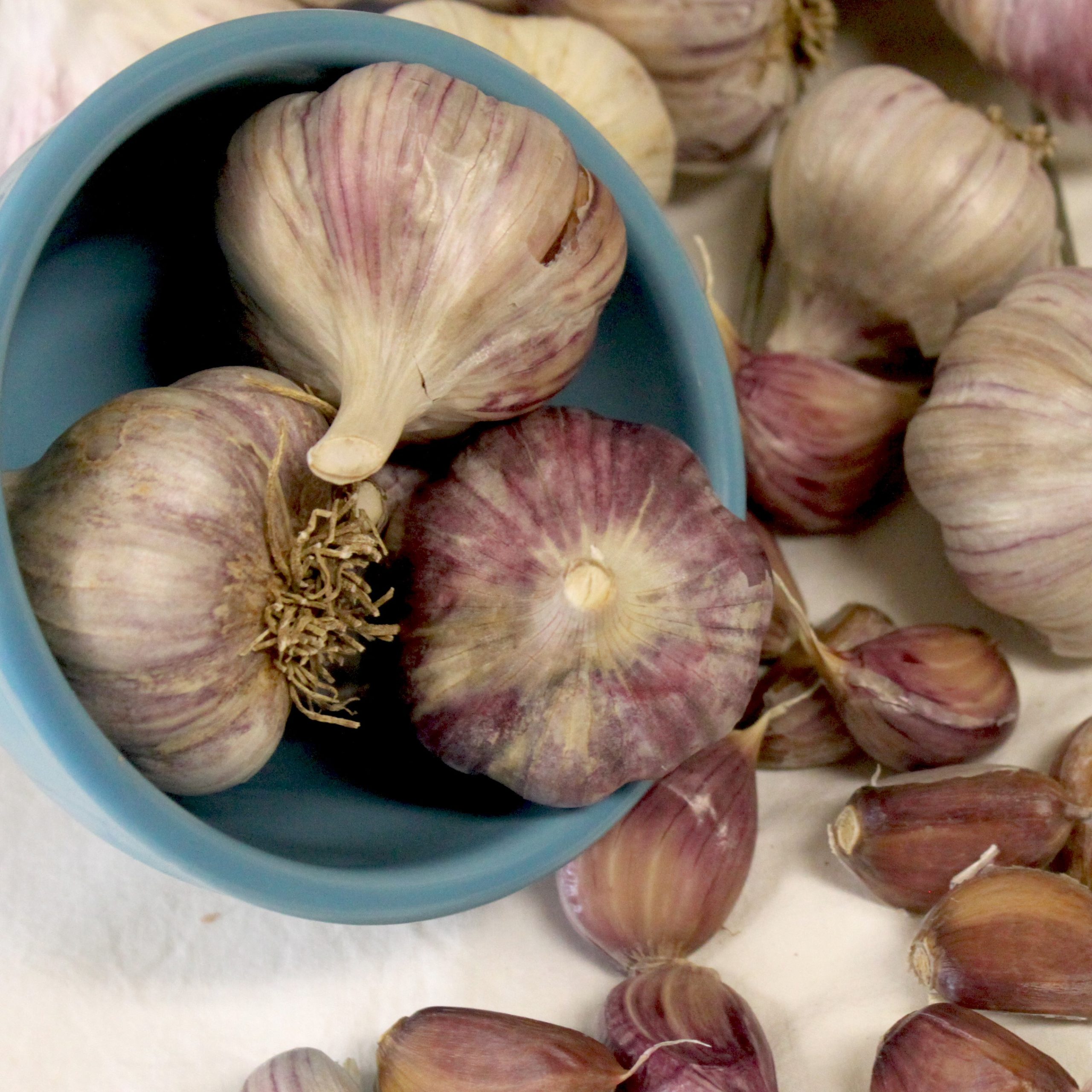OG Metechi Garlic