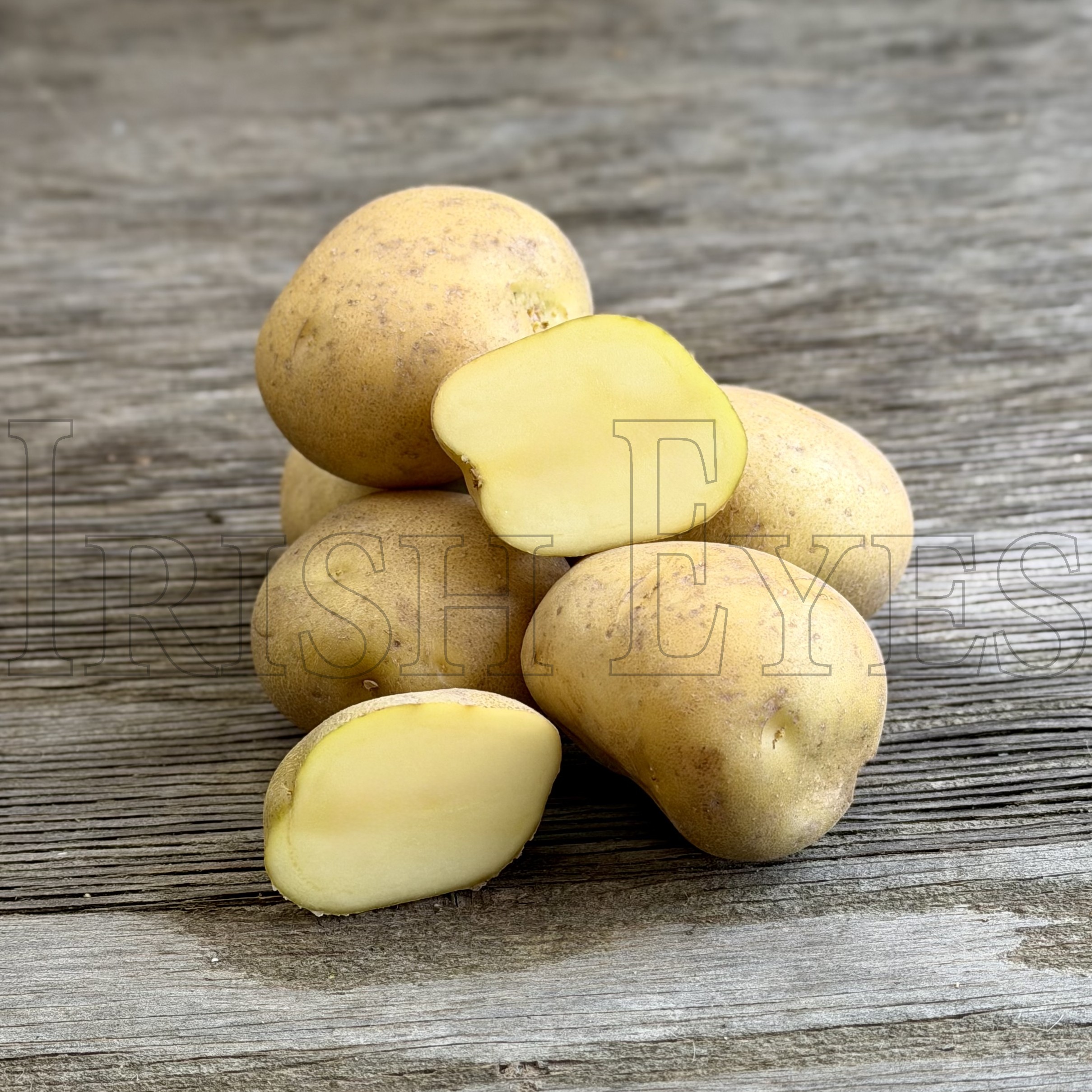 OG Yellow Finn Potato