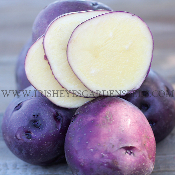 OG Huckleberry Gold Potato