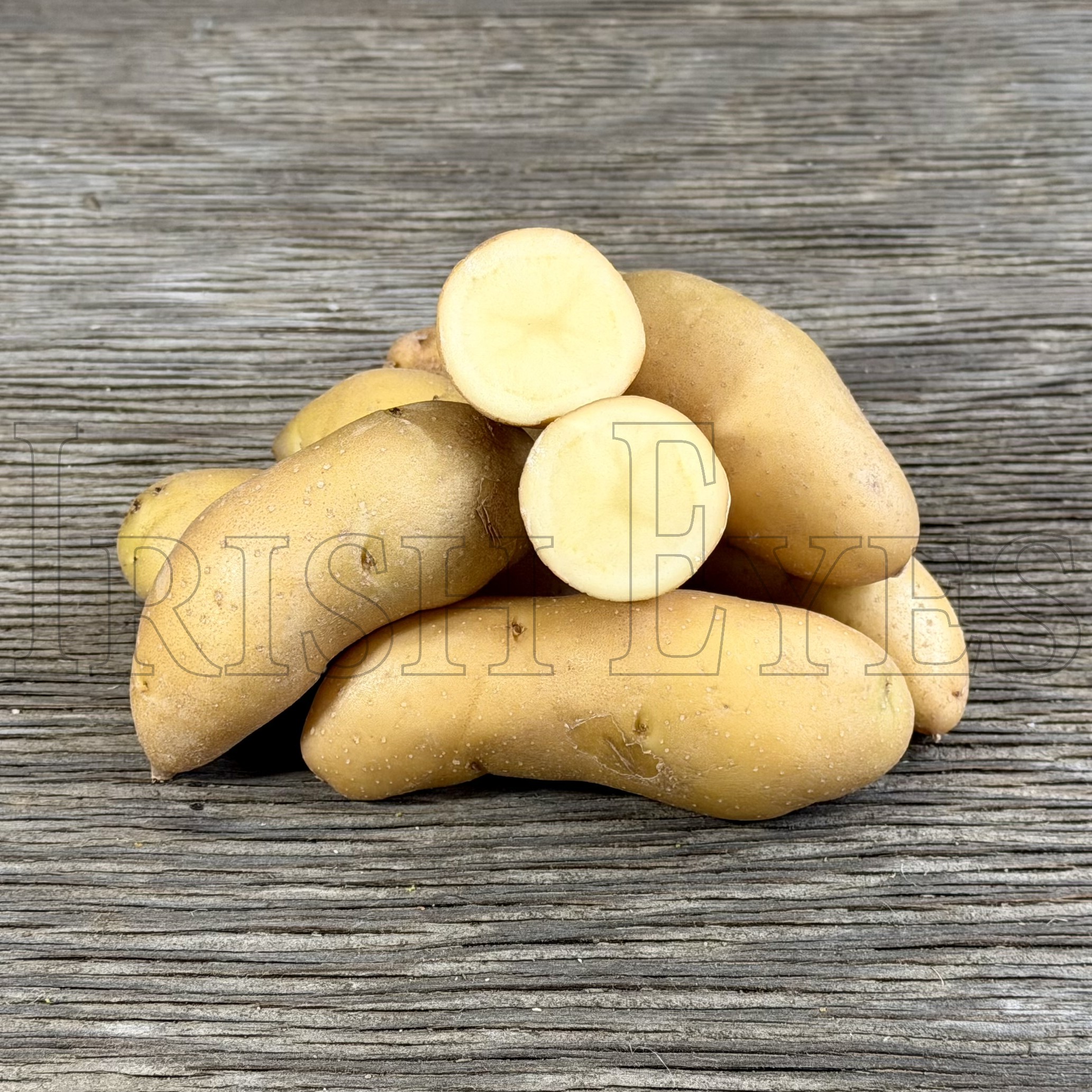 OG Russian Banana Fingerling