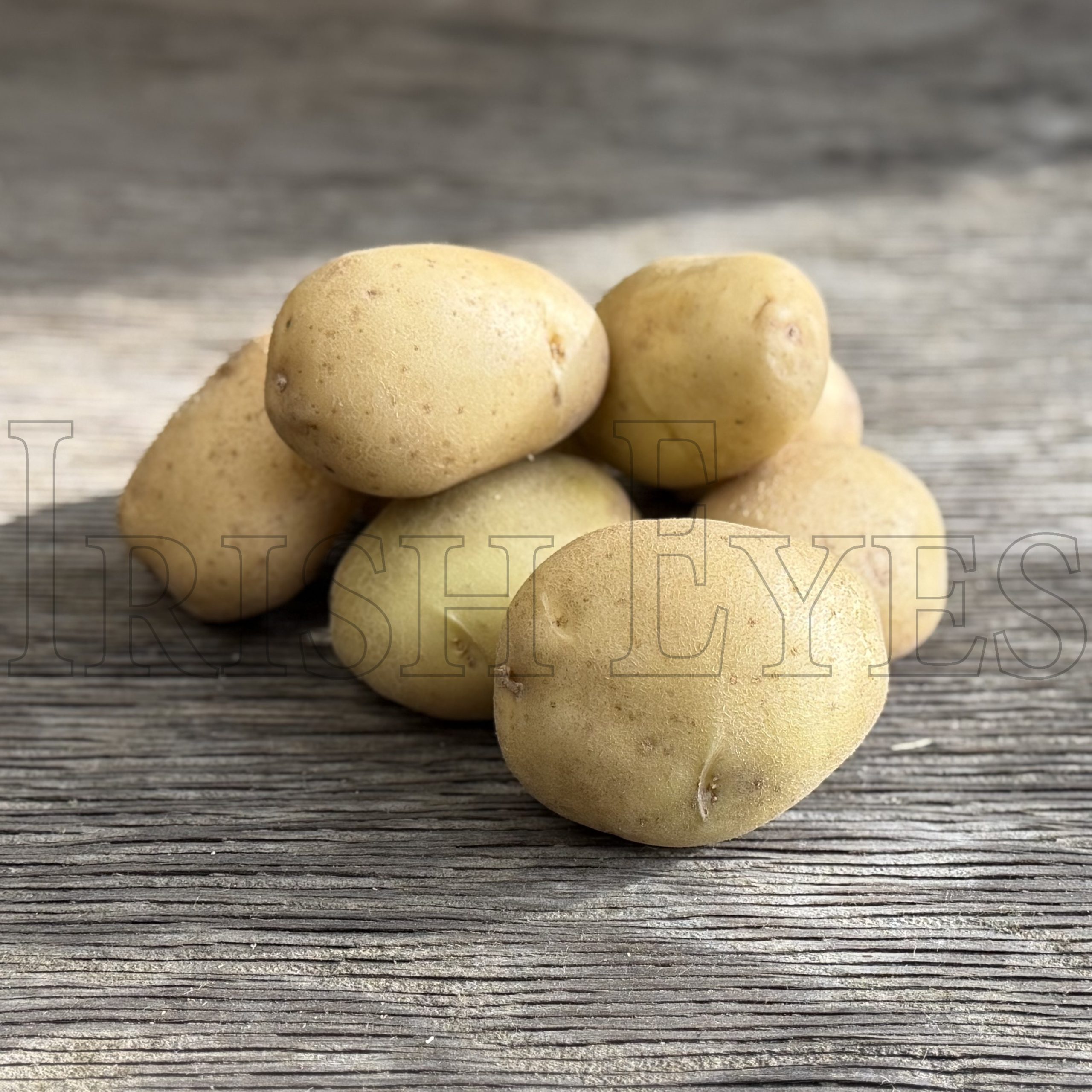 OG Bake King Pre-Nuclear Potato