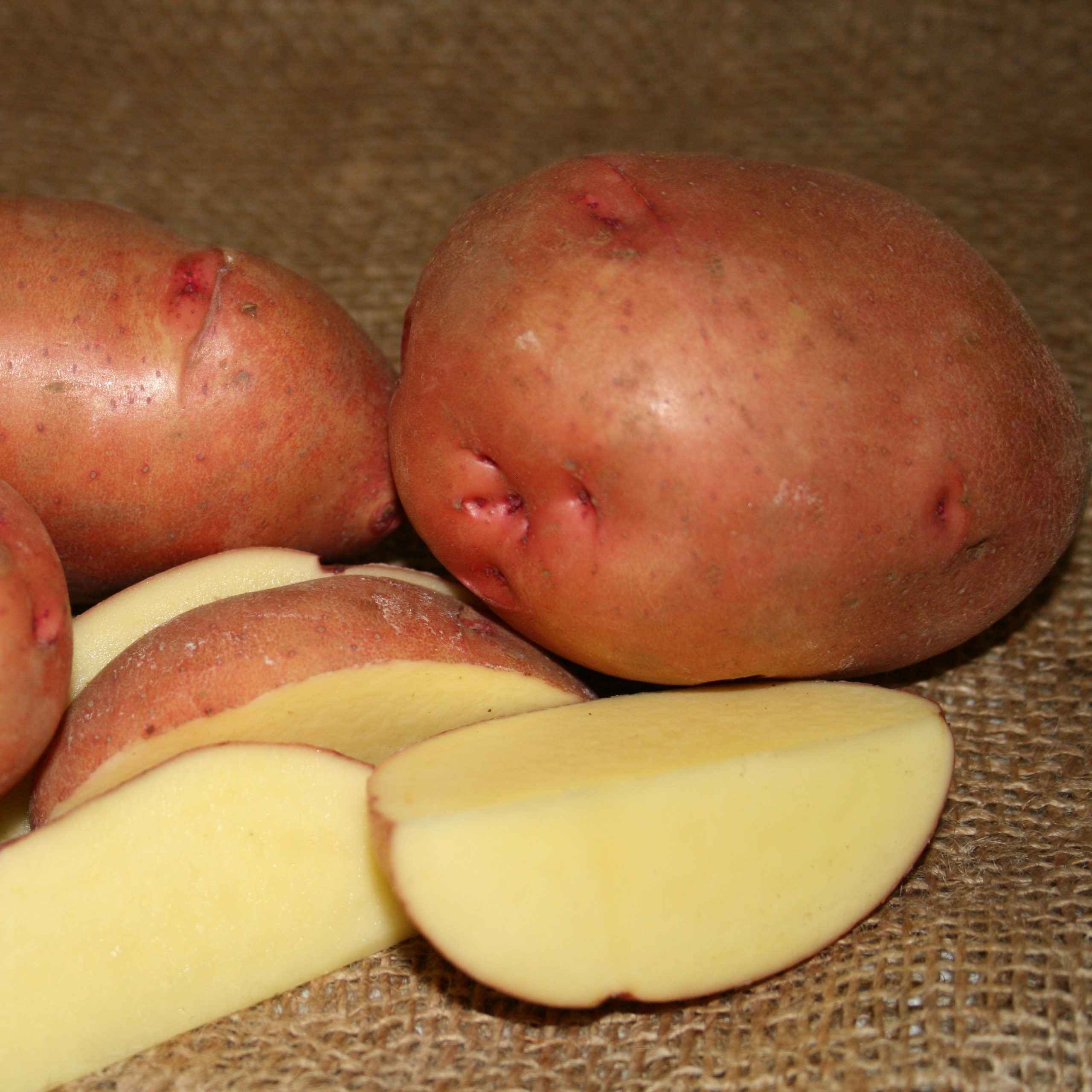 OG Rose Gold Pre-Nuclear Potato