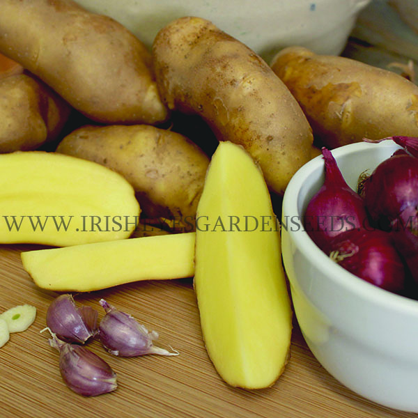 OG Butterfinger/Peanut Pre-Nuclear Fingerling