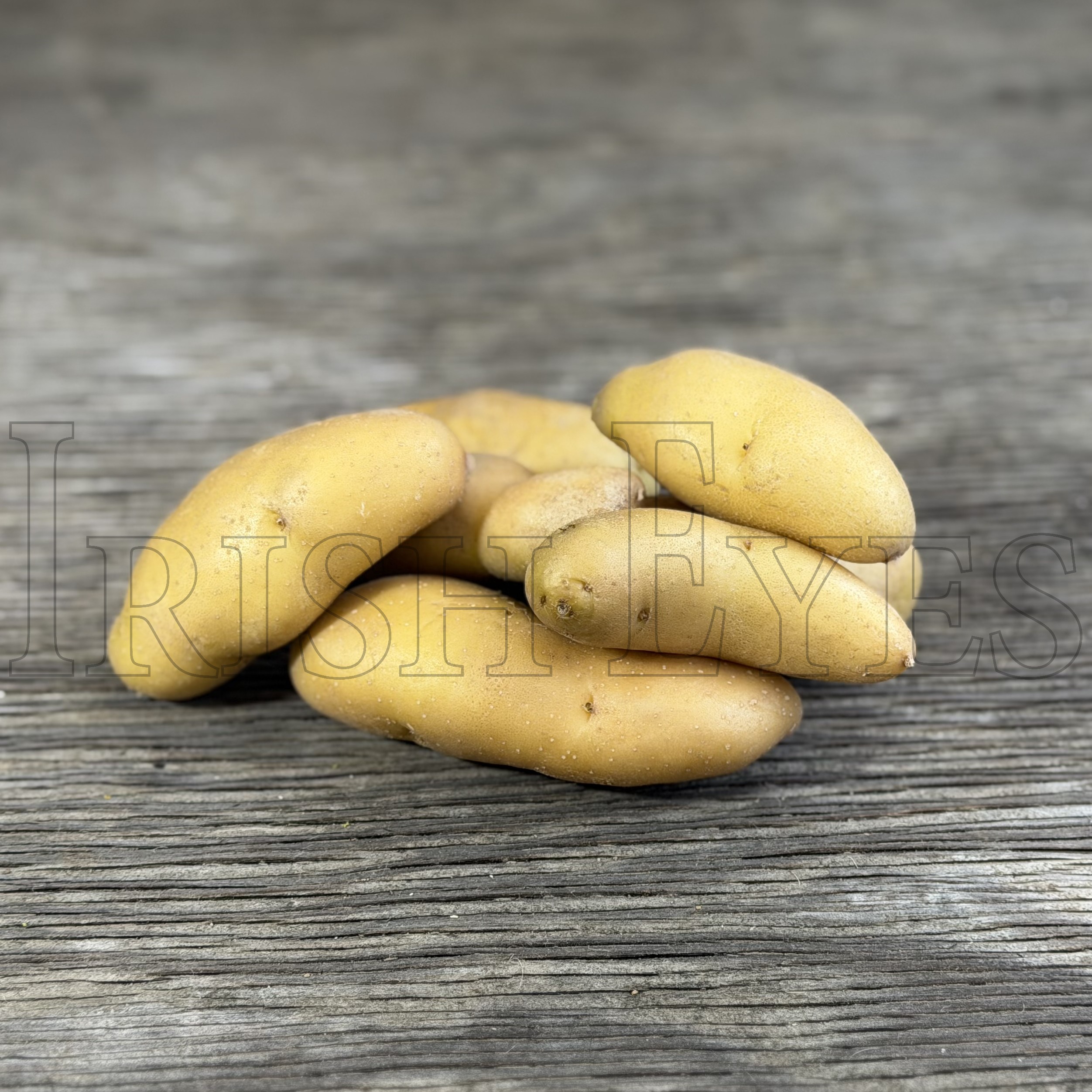 OG Russian Banana Pre-Nuclear Fingerling