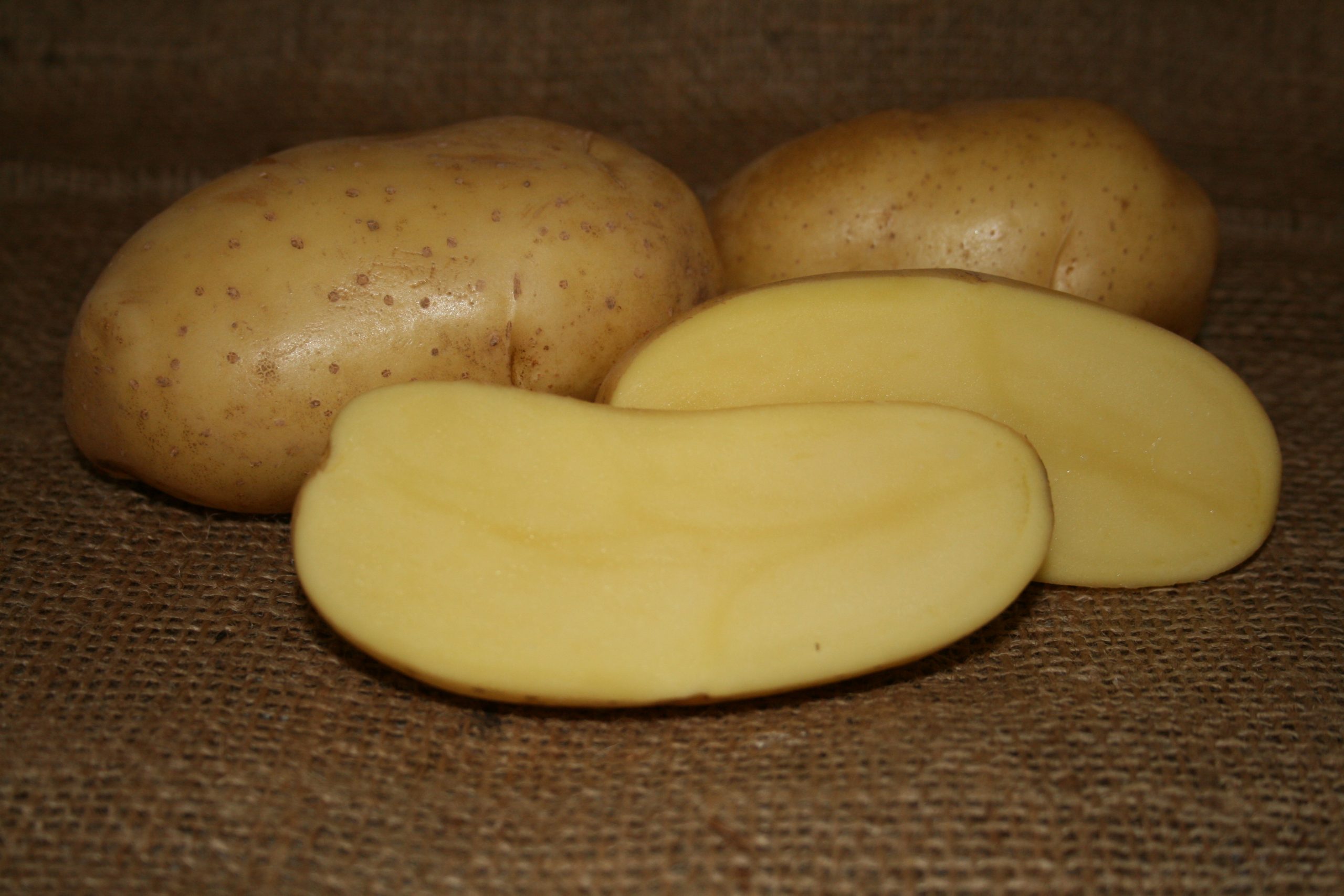 OG Carola Pre-Nuclear Potato