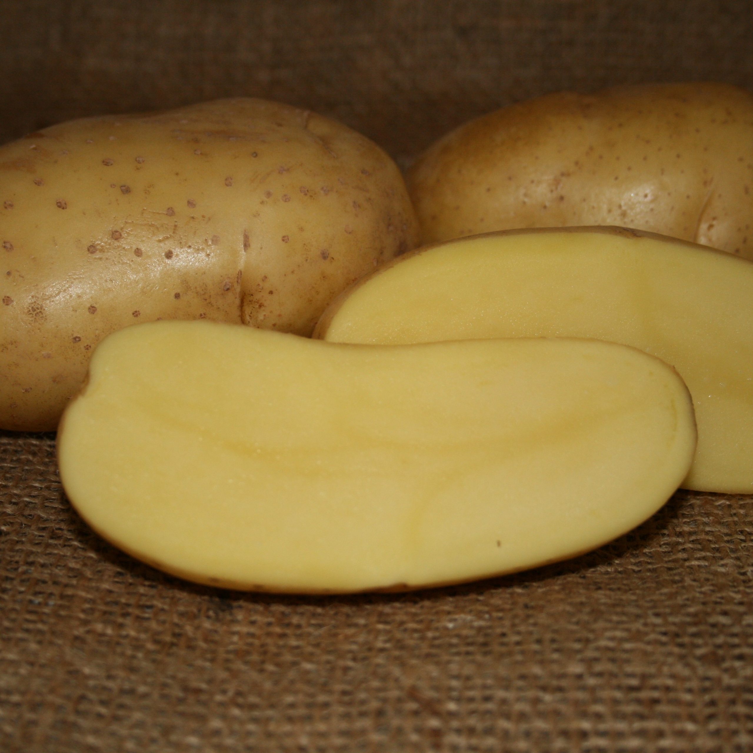 OG Carola Pre-Nuclear Potato