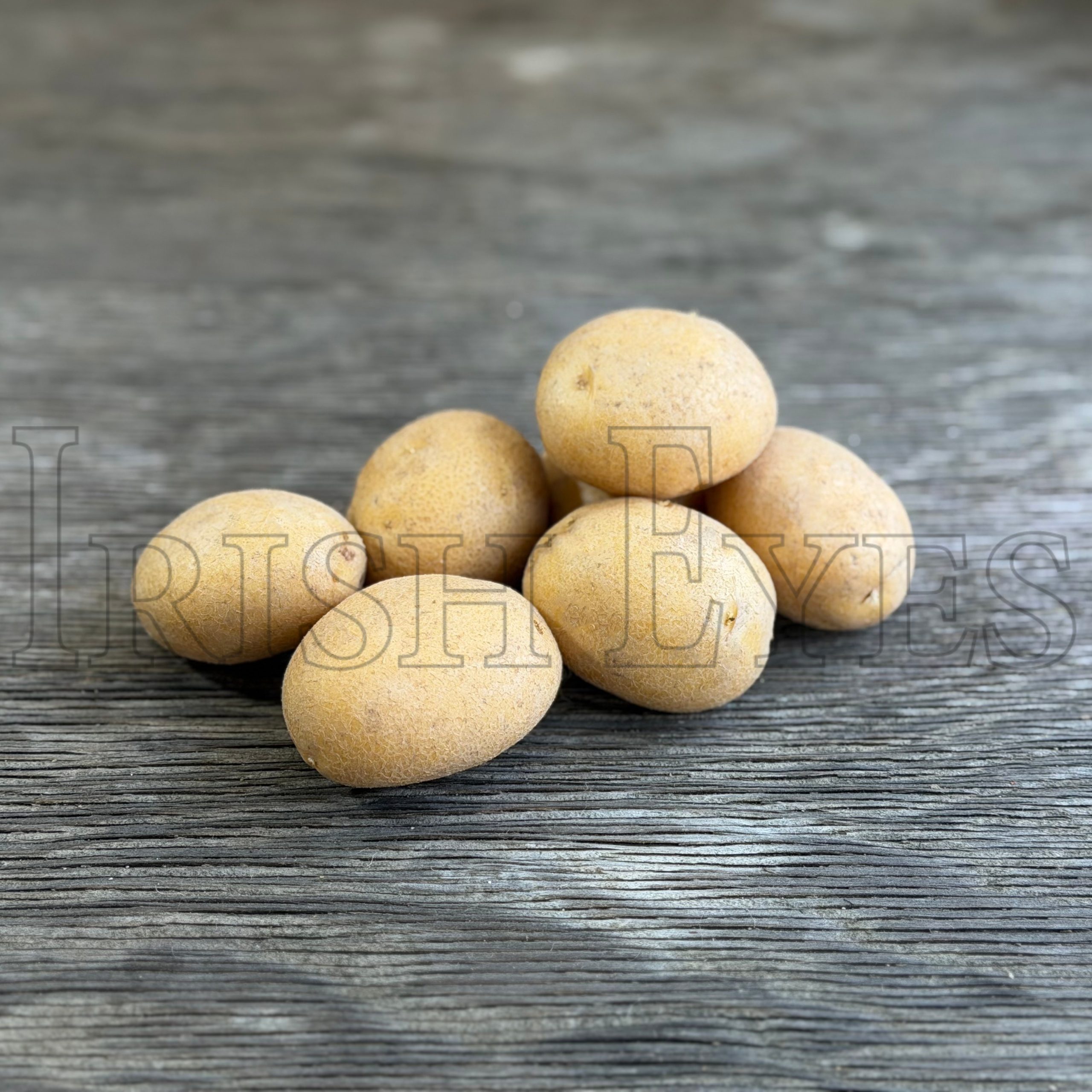 OG German Butterball Pre-Nuclear Potato