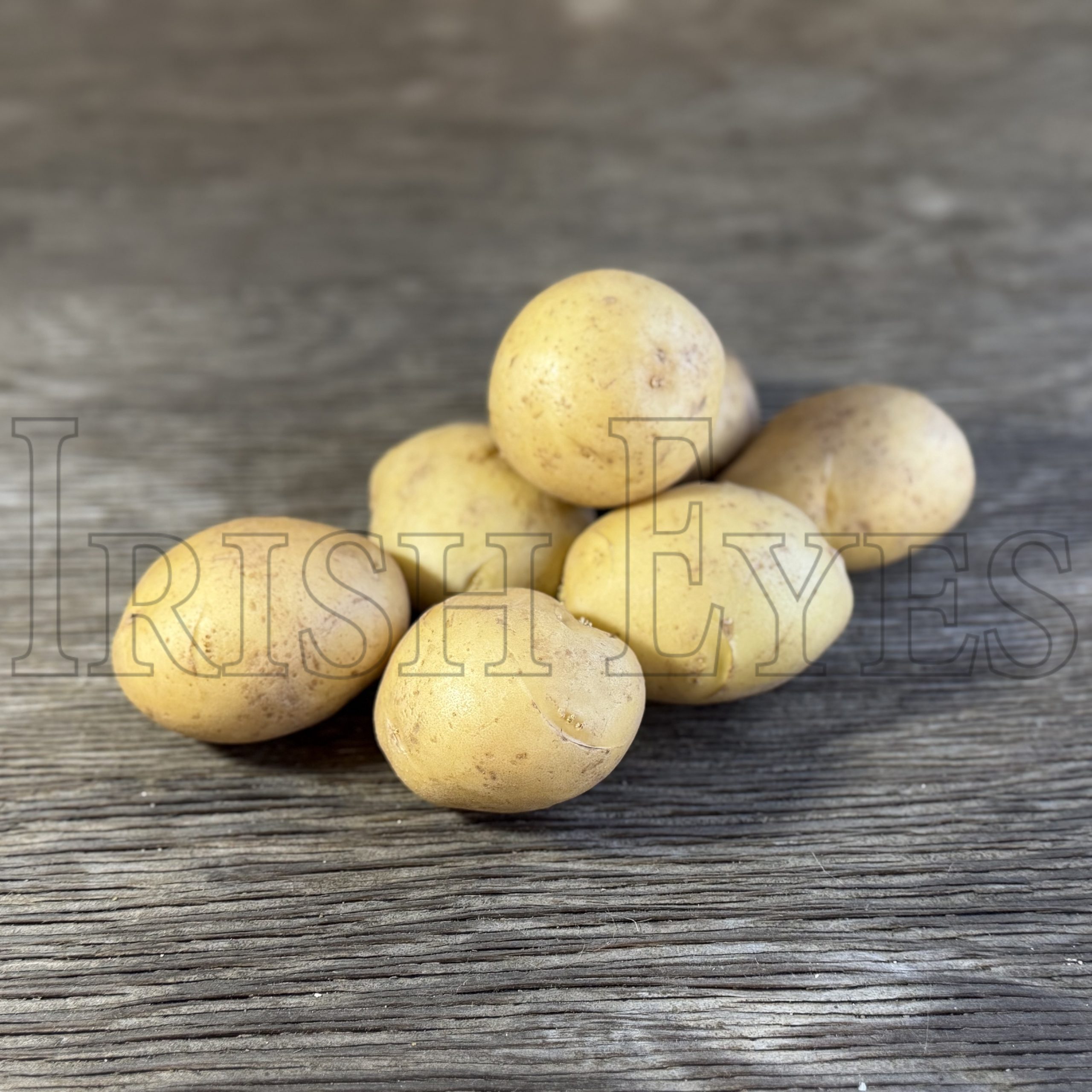 OG Kennebec Pre-Nuclear Potato