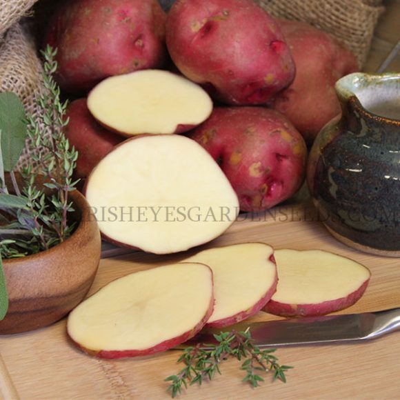 OG Red La Soda PreNuclear Potato Irish Eyes