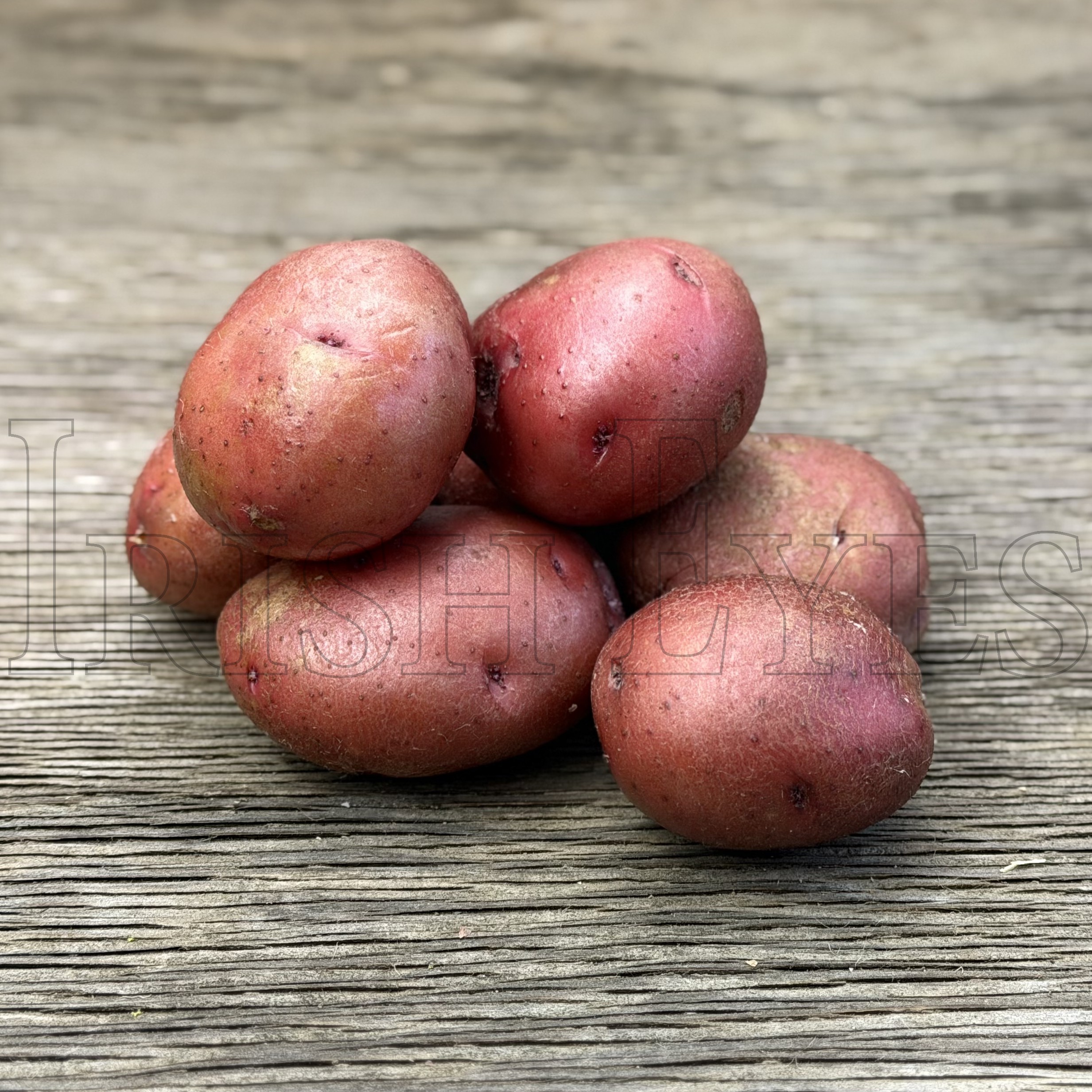 OG Red LaSoda Pre-Nuclear Potato