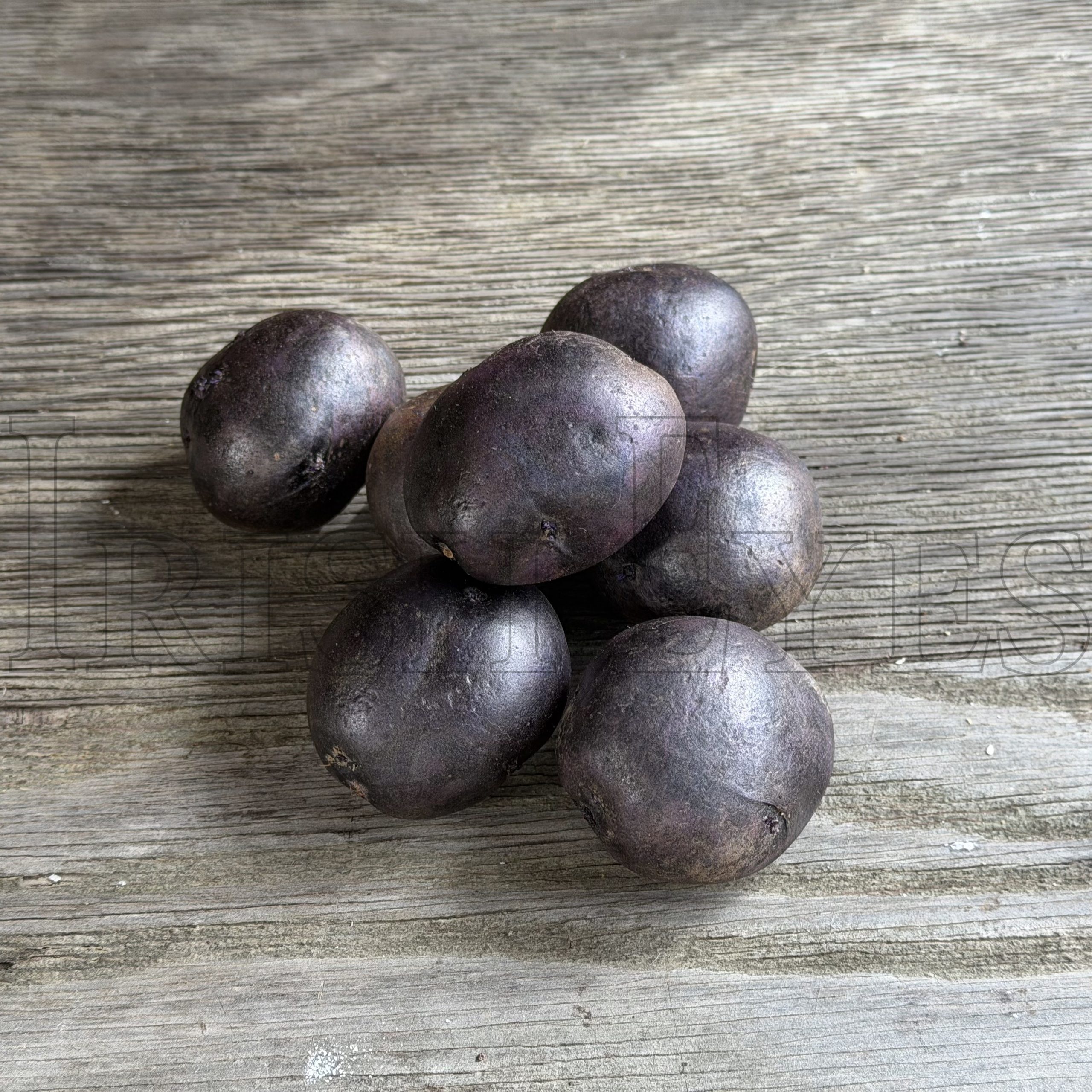 OG Purple Majesty Pre-Nuclear Potato