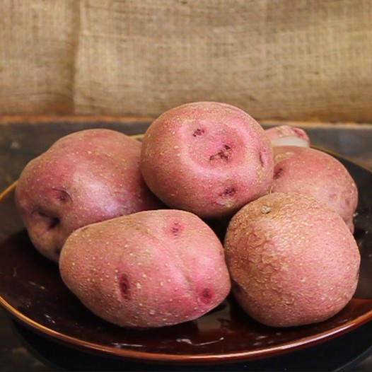 OG Sangre Pre-Nuclear Potato