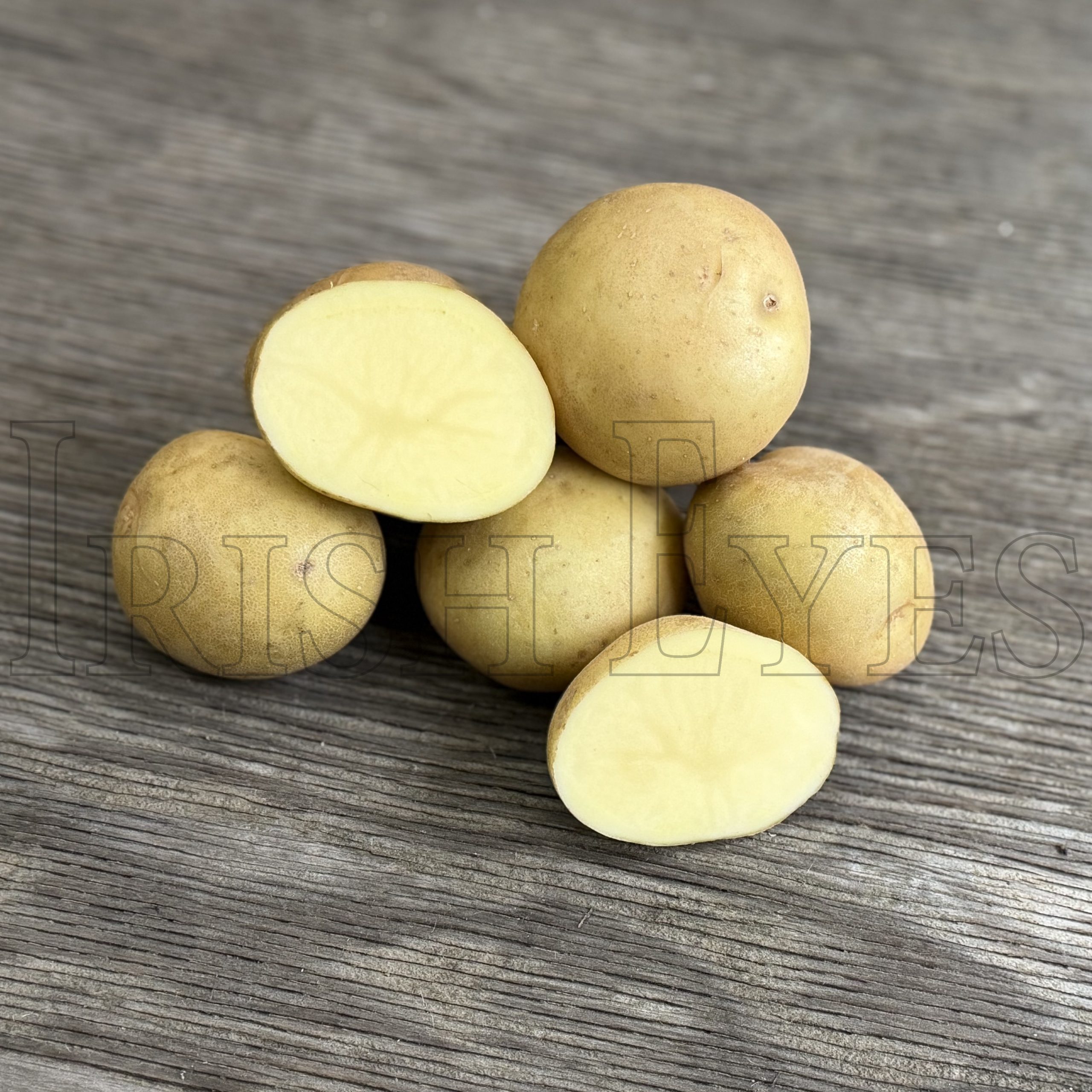 OG Yukon Gold Potato