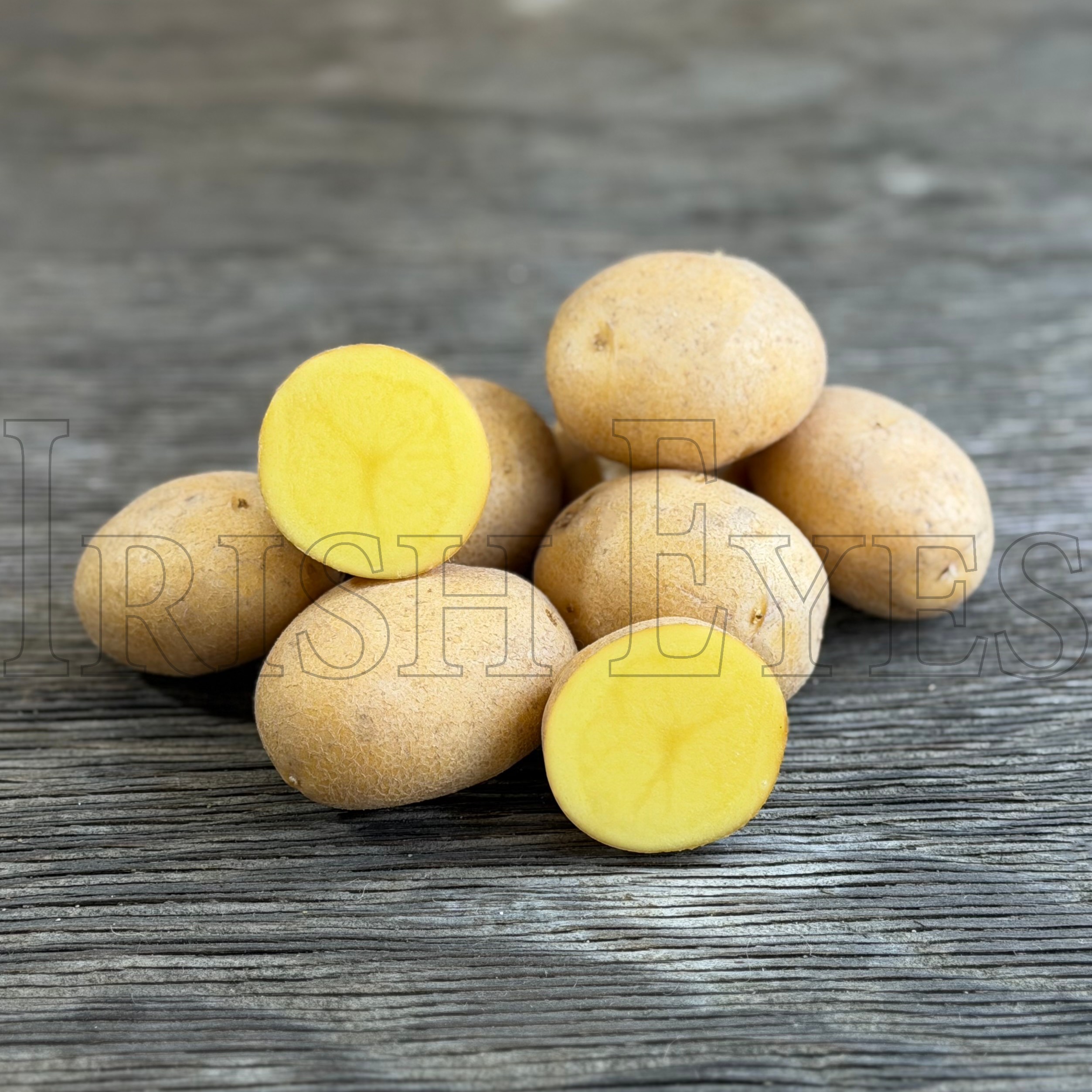 OG German Butterball Potato