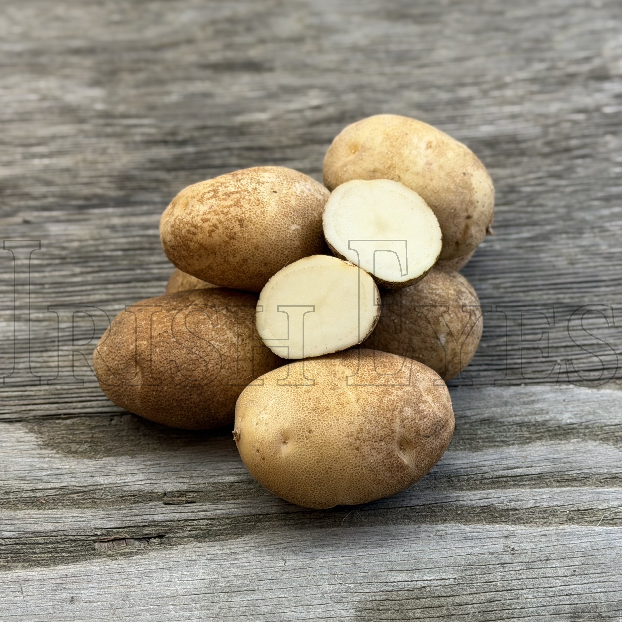 OG Russet Burbank Potato