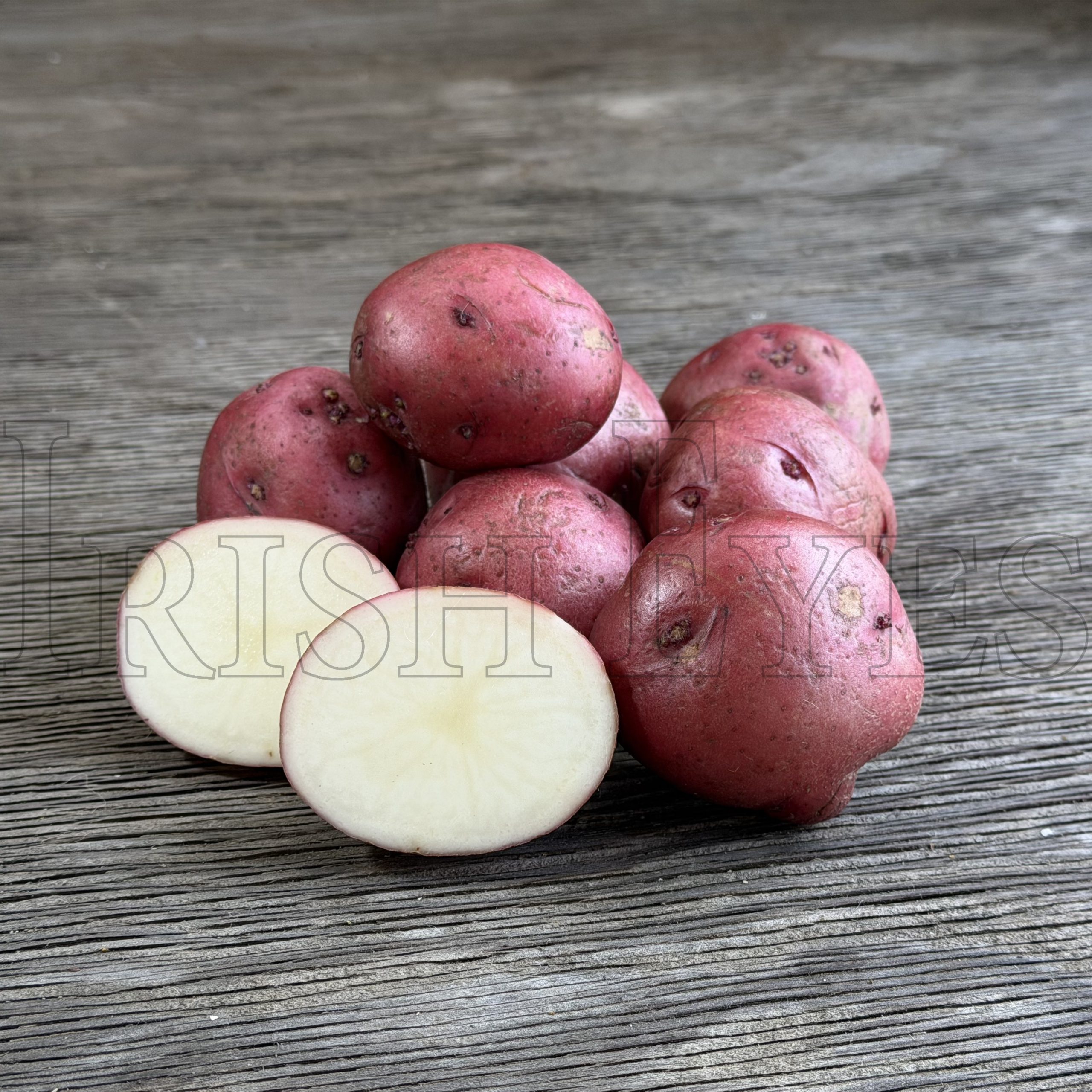 OG Red Pontiac Potato