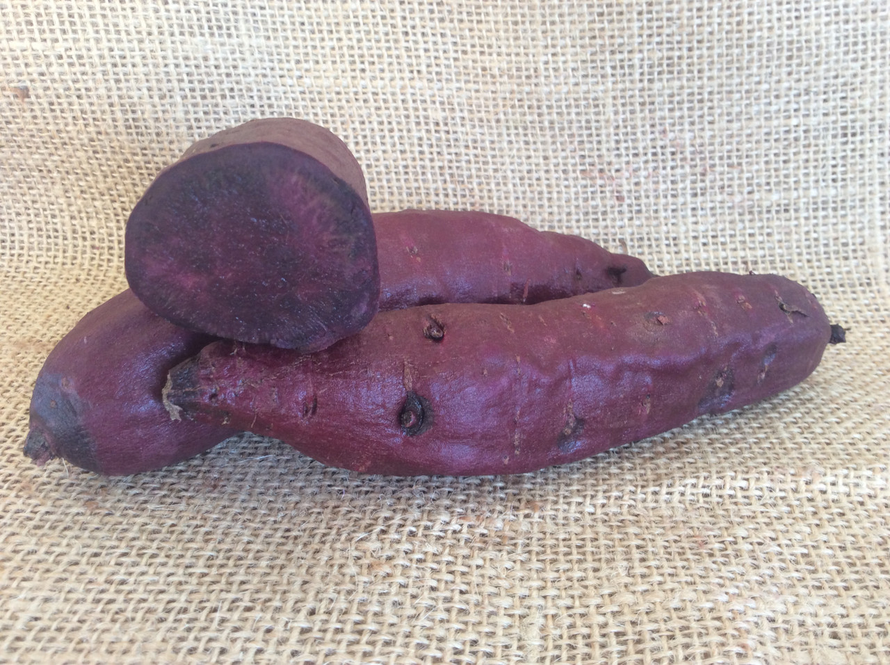 OG Purple Majesty Sweet Potato