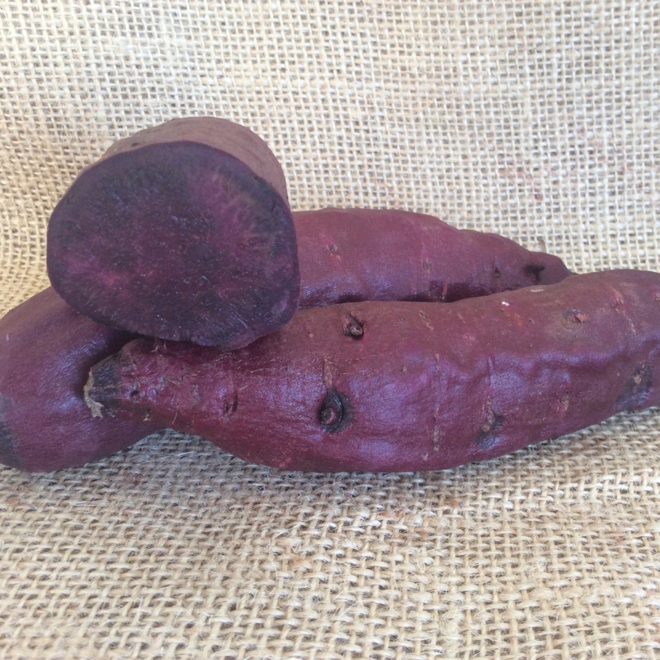 OG Purple Majesty Sweet Potato