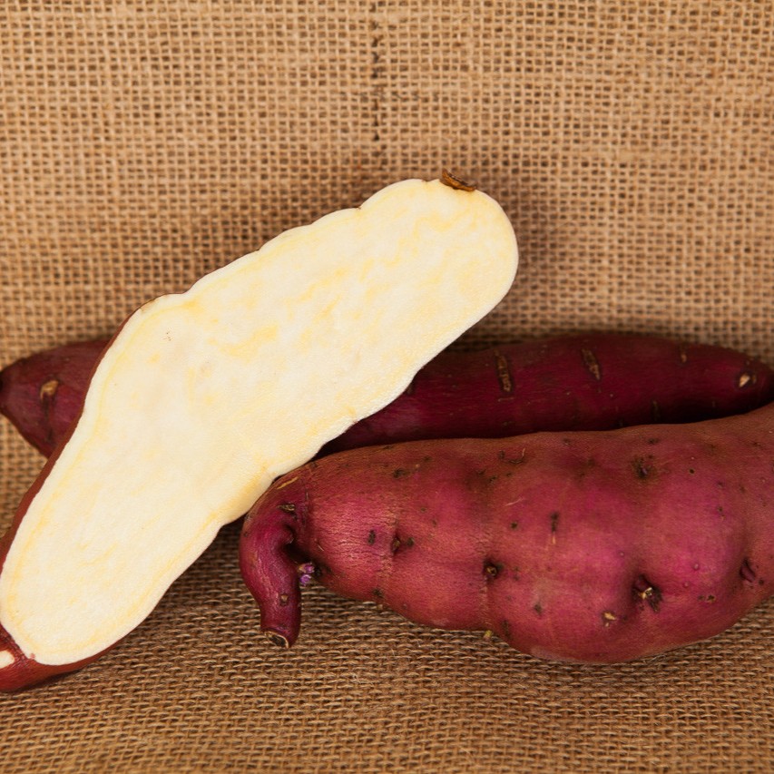 OG Red Japanese Sweet Potato