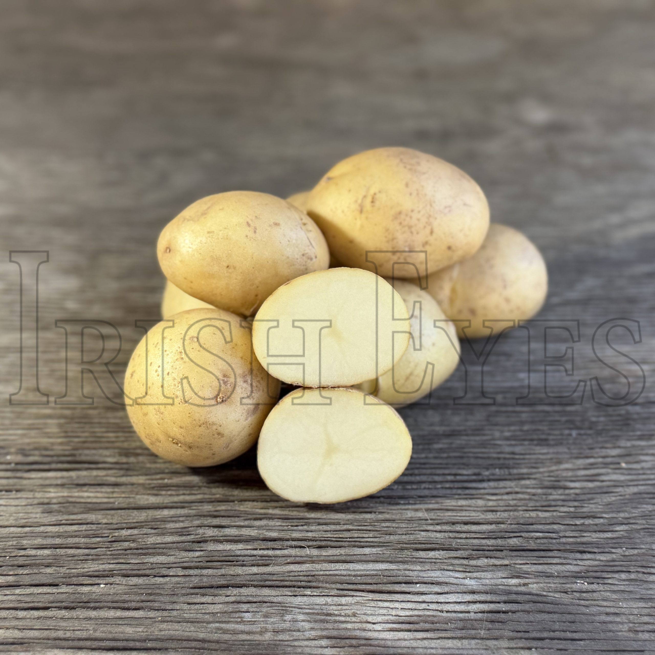 OG Kennebec Potato