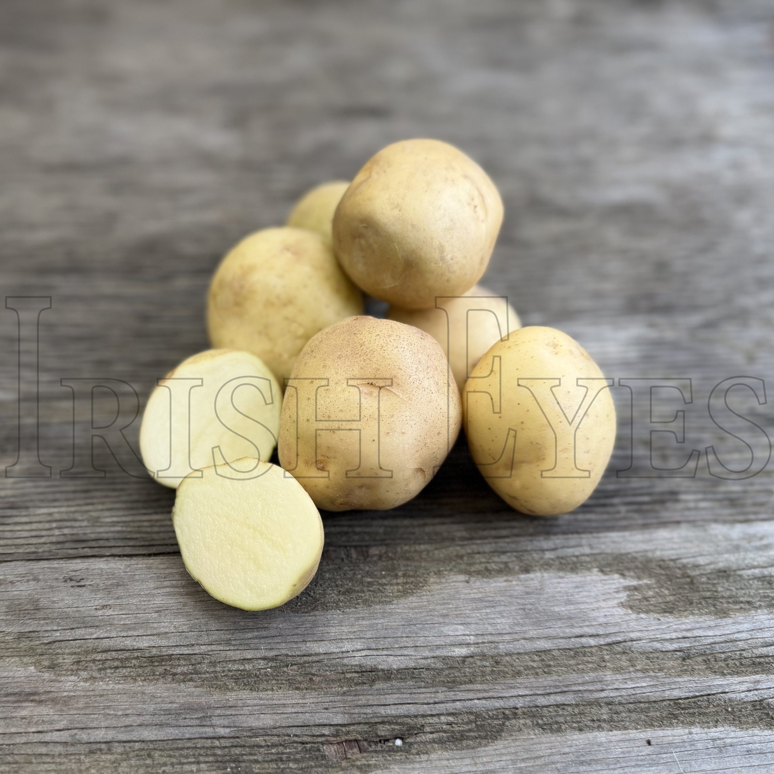 OG Early Ohio Potato