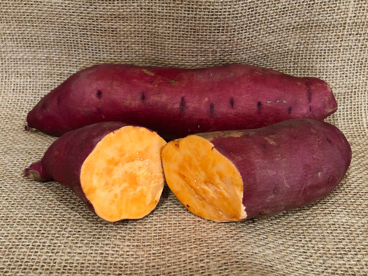 Bayou Belle Sweet Potato