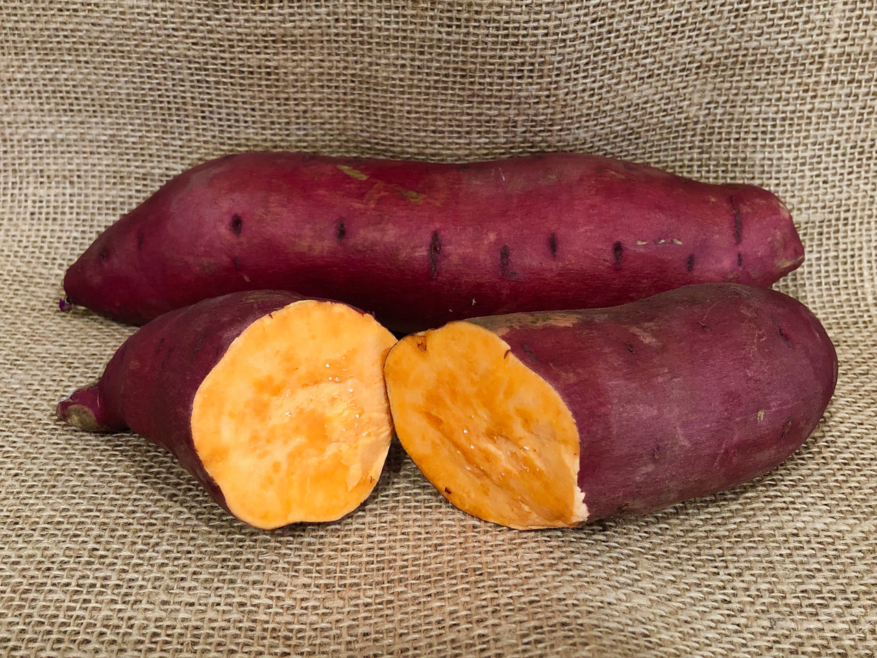 OG Bayou Belle Sweet Potato
