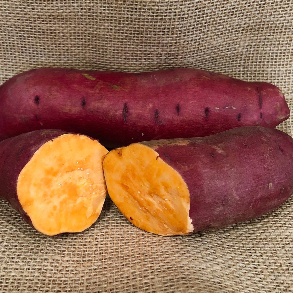 OG Bayou Belle Sweet Potato